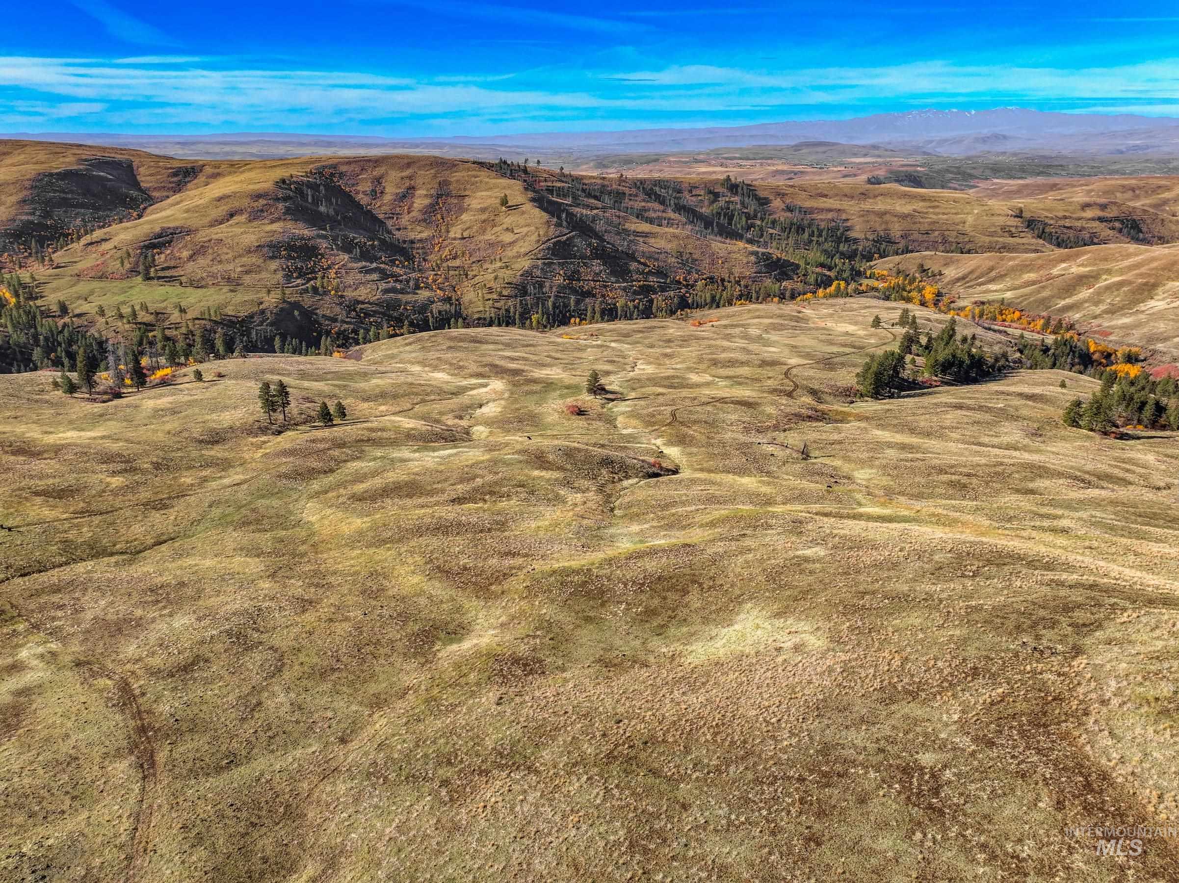 255 ac Fall Creek Rd, Council, Idaho 83612, Farm & Ranch For Sale, Price $625,000,MLS 98976619
