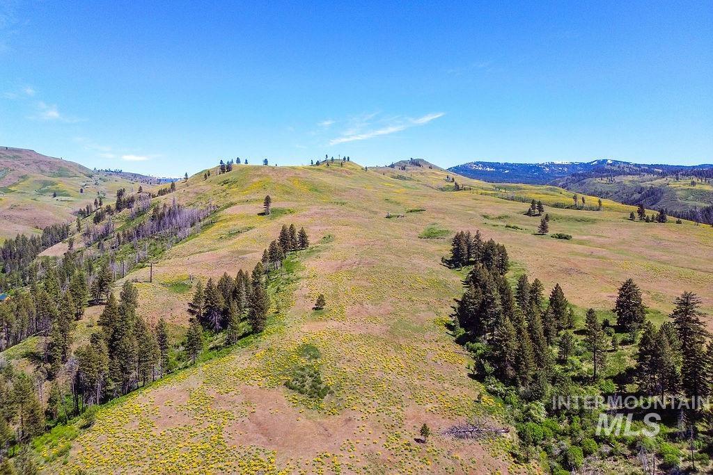 255 ac Fall Creek Rd, Council, Idaho 83612, Farm & Ranch For Sale, Price $625,000,MLS 98976619