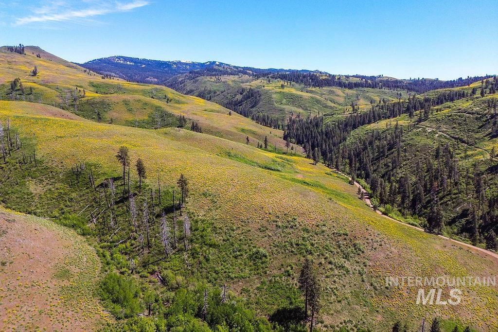 255 ac Fall Creek Rd, Council, Idaho 83612, Farm & Ranch For Sale, Price $625,000,MLS 98976619