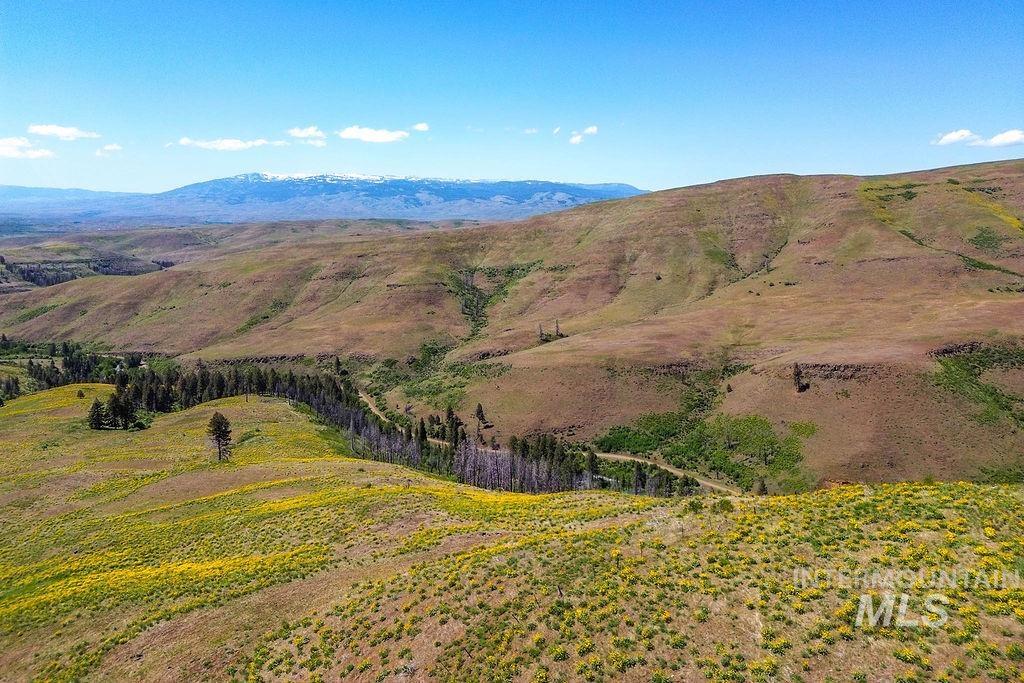 255 ac Fall Creek Rd, Council, Idaho 83612, Farm & Ranch For Sale, Price $625,000,MLS 98976619