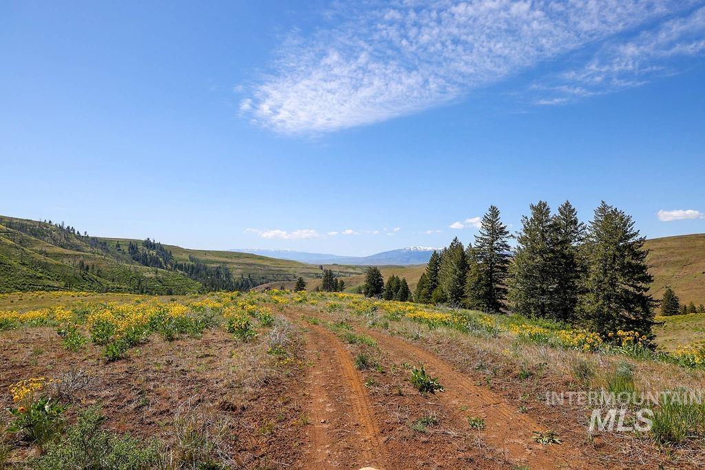 255 ac Fall Creek Rd, Council, Idaho 83612, Farm & Ranch For Sale, Price $625,000,MLS 98976619