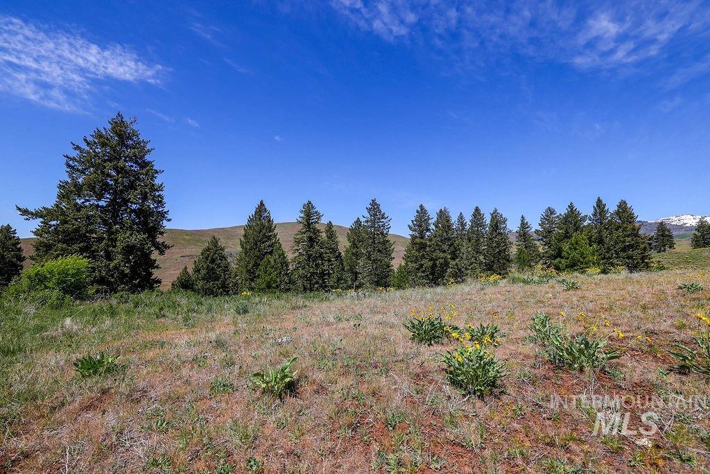 255 ac Fall Creek Rd, Council, Idaho 83612, Farm & Ranch For Sale, Price $625,000,MLS 98976619