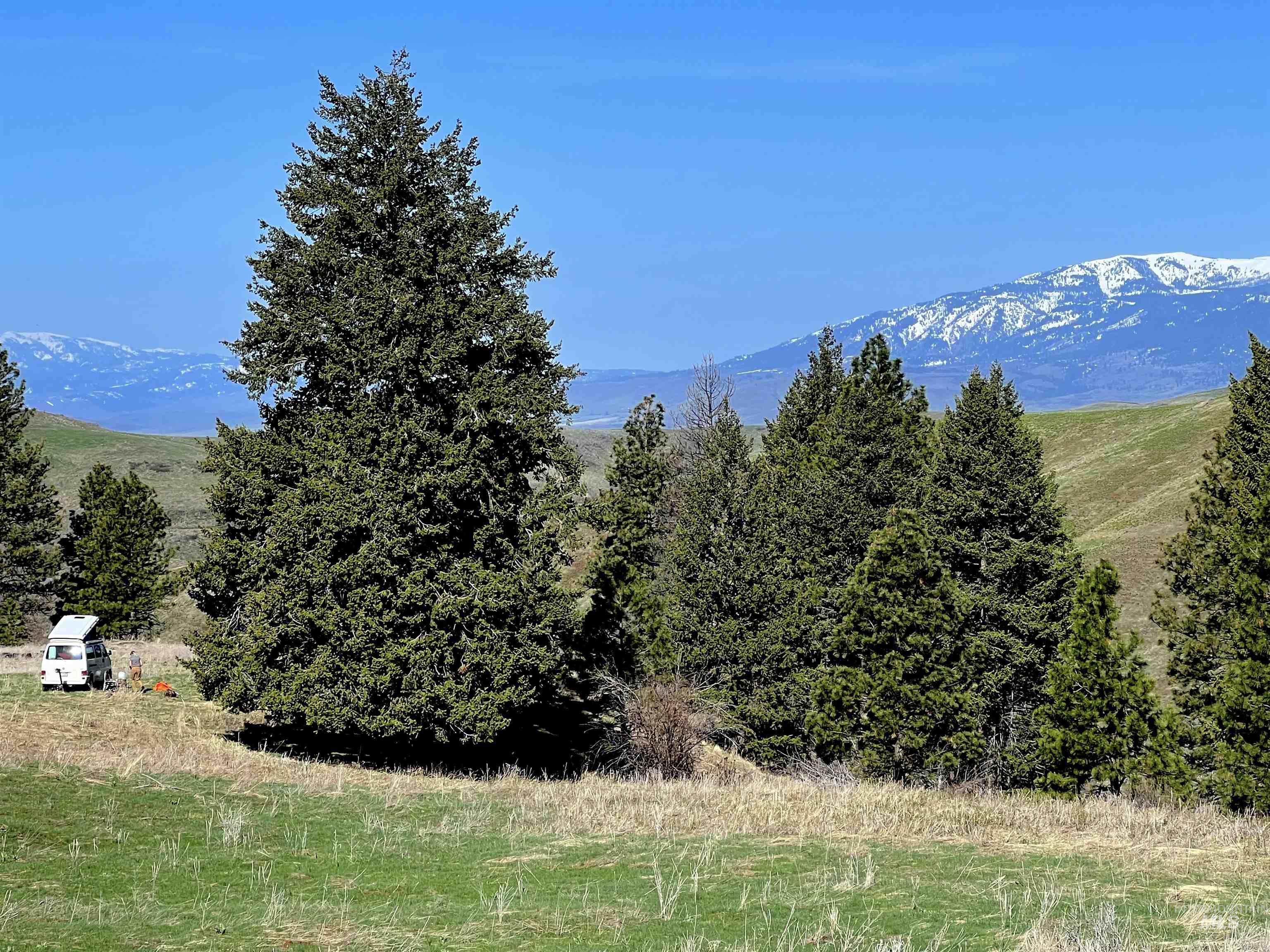 255 ac Fall Creek Rd, Council, Idaho 83612, Farm & Ranch For Sale, Price $625,000,MLS 98976619