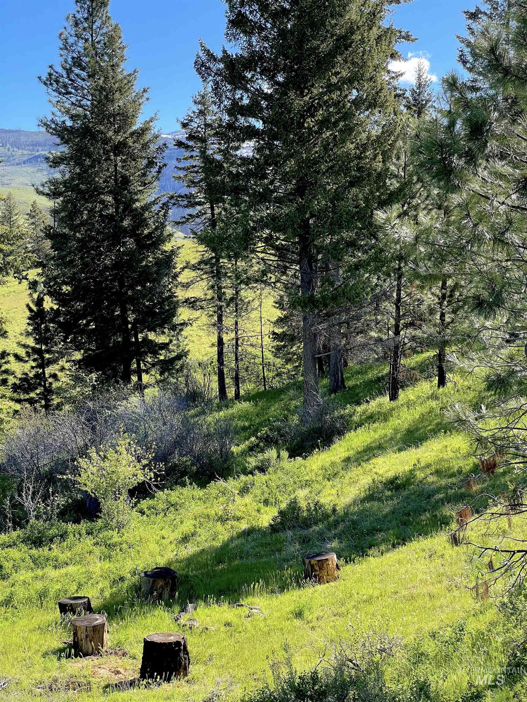 255 ac Fall Creek Rd, Council, Idaho 83612, Farm & Ranch For Sale, Price $625,000,MLS 98976619