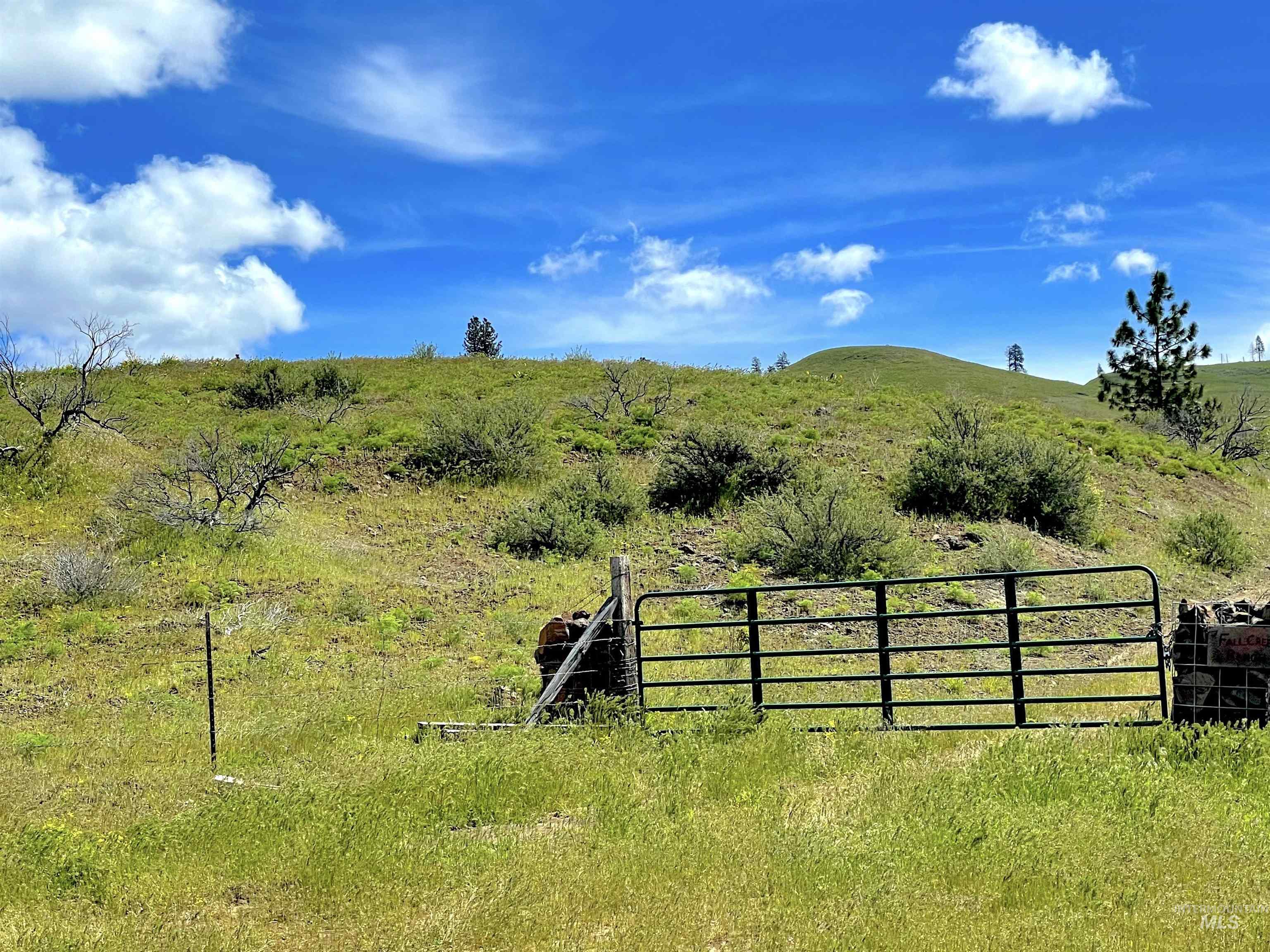 255 ac Fall Creek Rd, Council, Idaho 83612, Farm & Ranch For Sale, Price $625,000,MLS 98976619