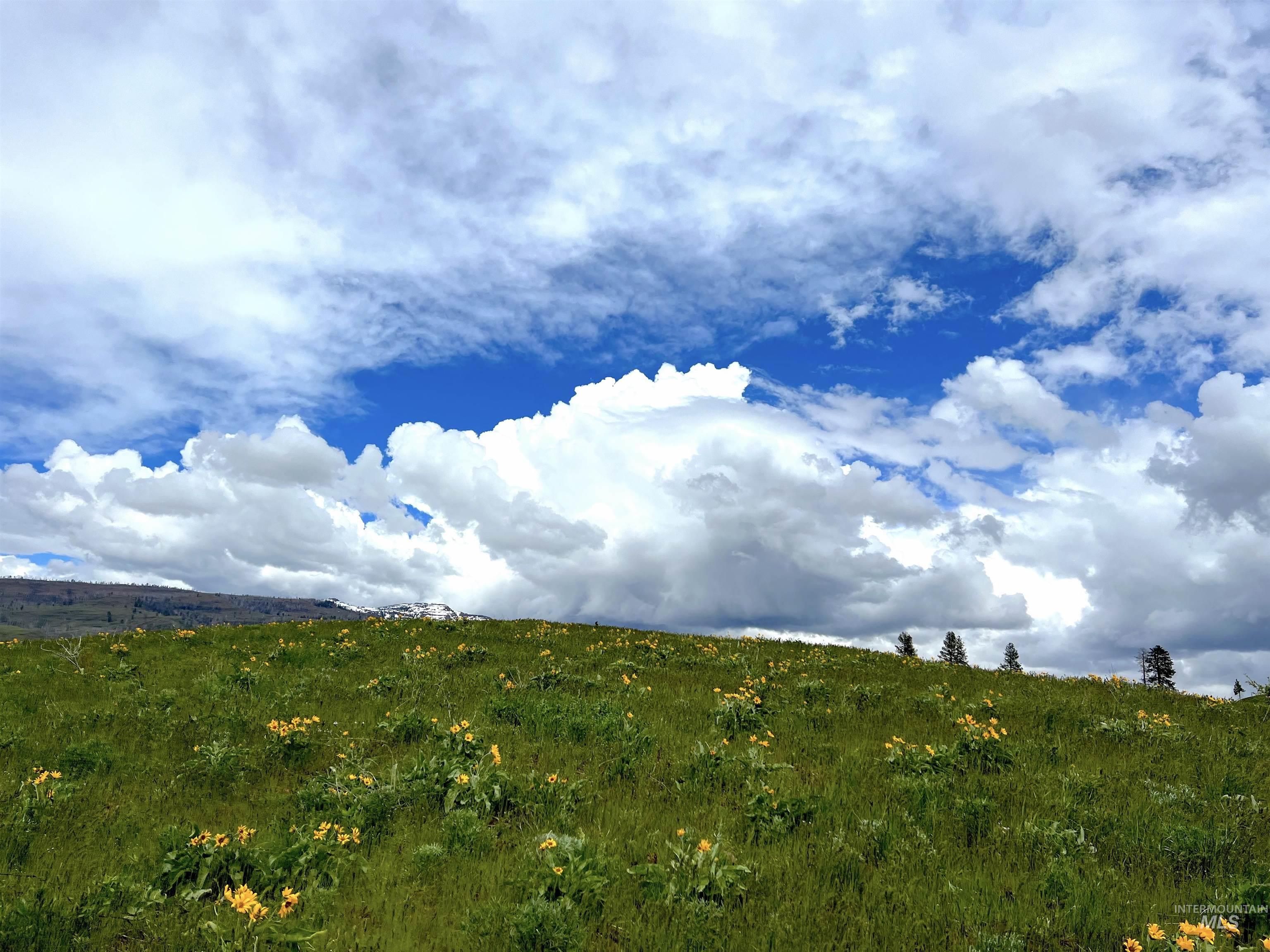 255 ac Fall Creek Rd, Council, Idaho 83612, Farm & Ranch For Sale, Price $625,000,MLS 98976619