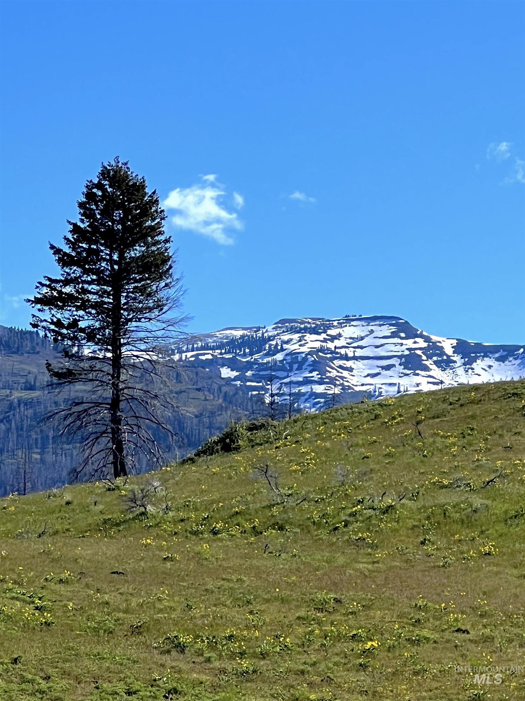 255 ac Fall Creek Rd, Council, Idaho 83612, Farm & Ranch For Sale, Price $625,000,MLS 98976619