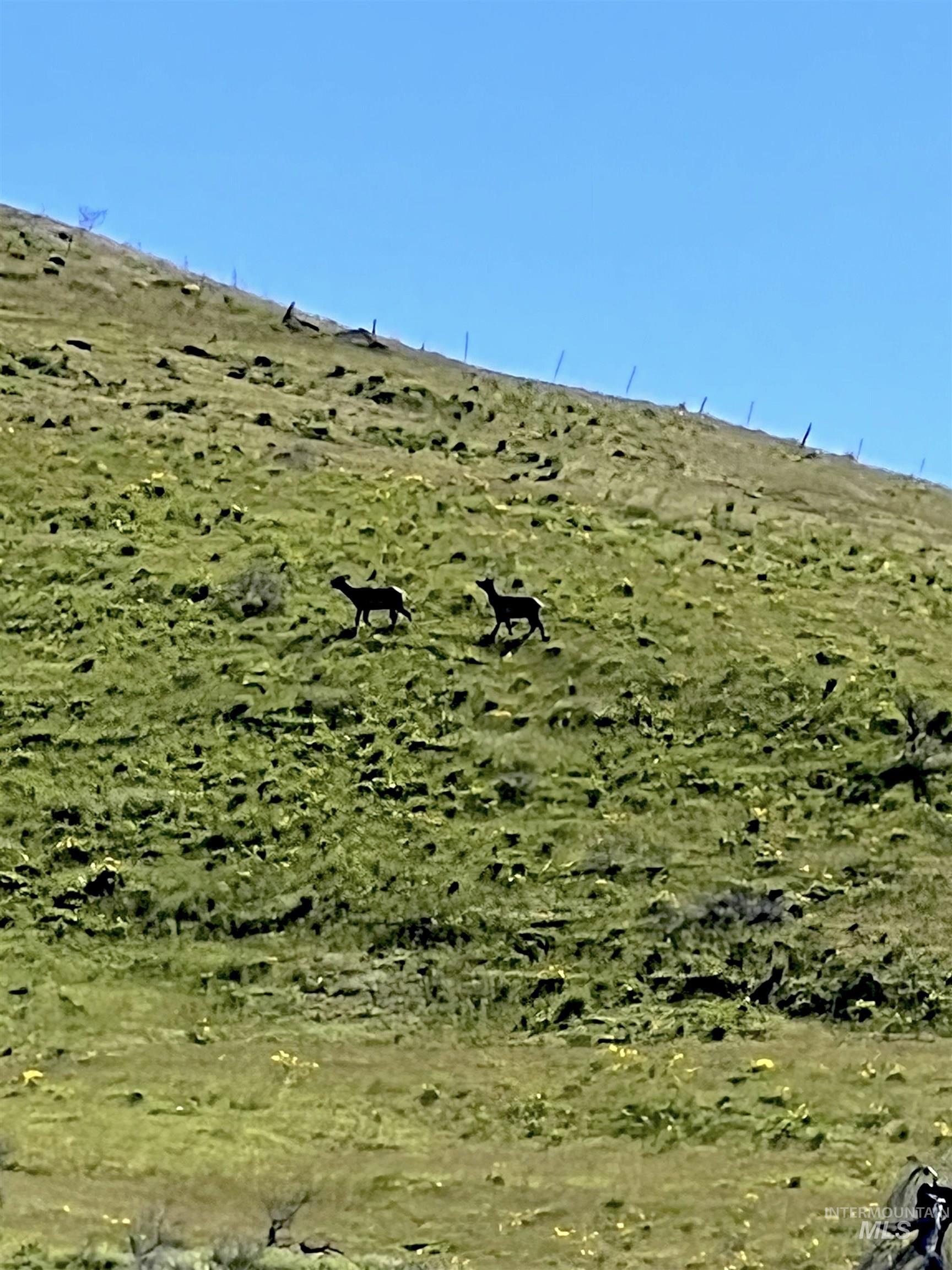 255 ac Fall Creek Rd, Council, Idaho 83612, Farm & Ranch For Sale, Price $625,000,MLS 98976619