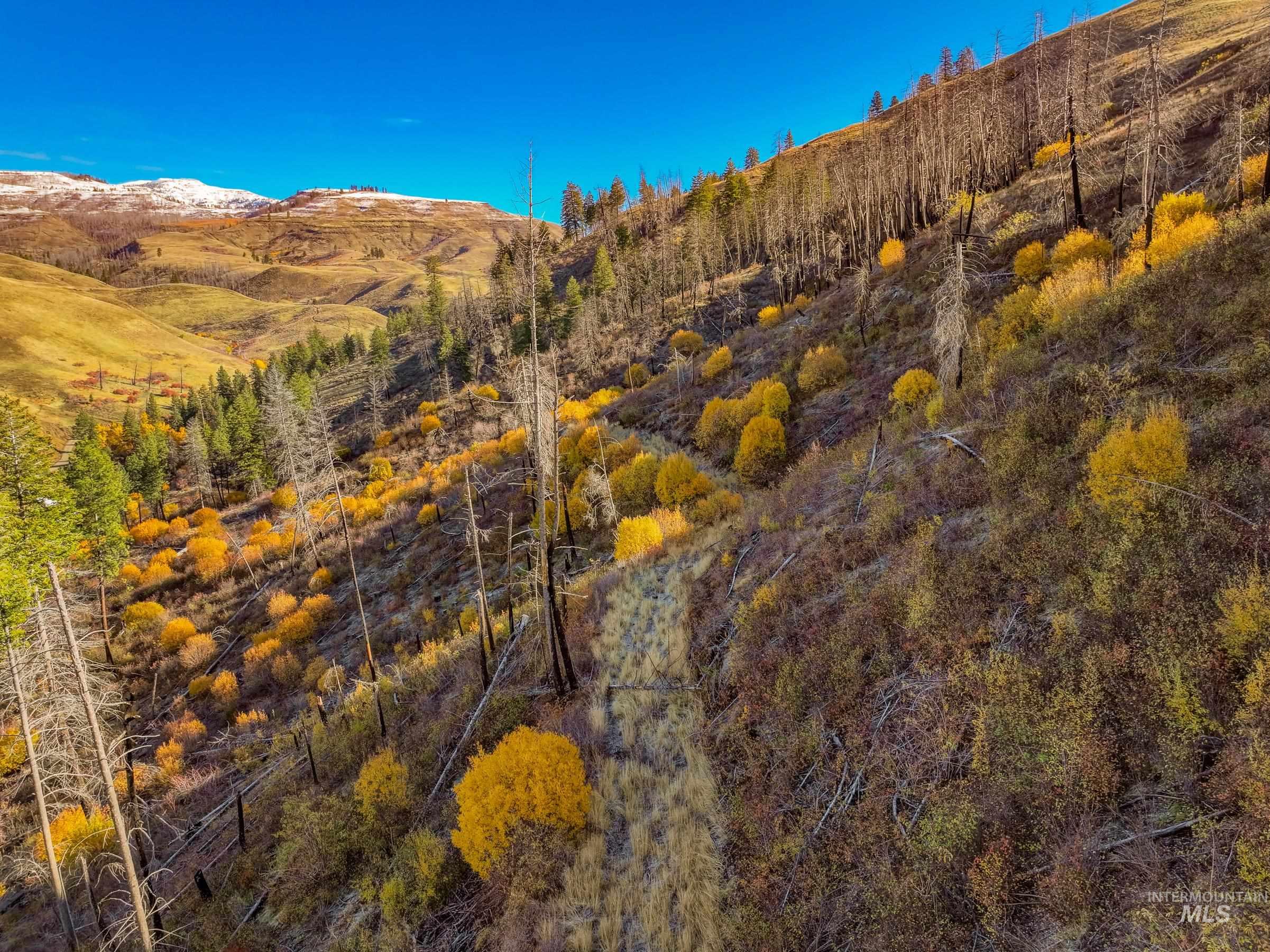 255 ac Fall Creek Rd, Council, Idaho 83612, Farm & Ranch For Sale, Price $625,000,MLS 98976619