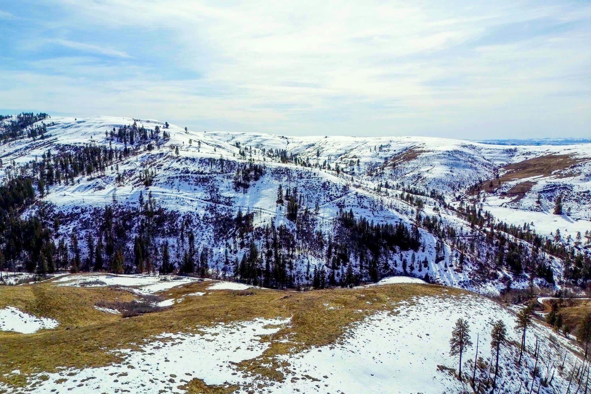 255 ac Fall Creek Rd, Council, Idaho 83612, Farm & Ranch For Sale, Price $625,000,MLS 98976619