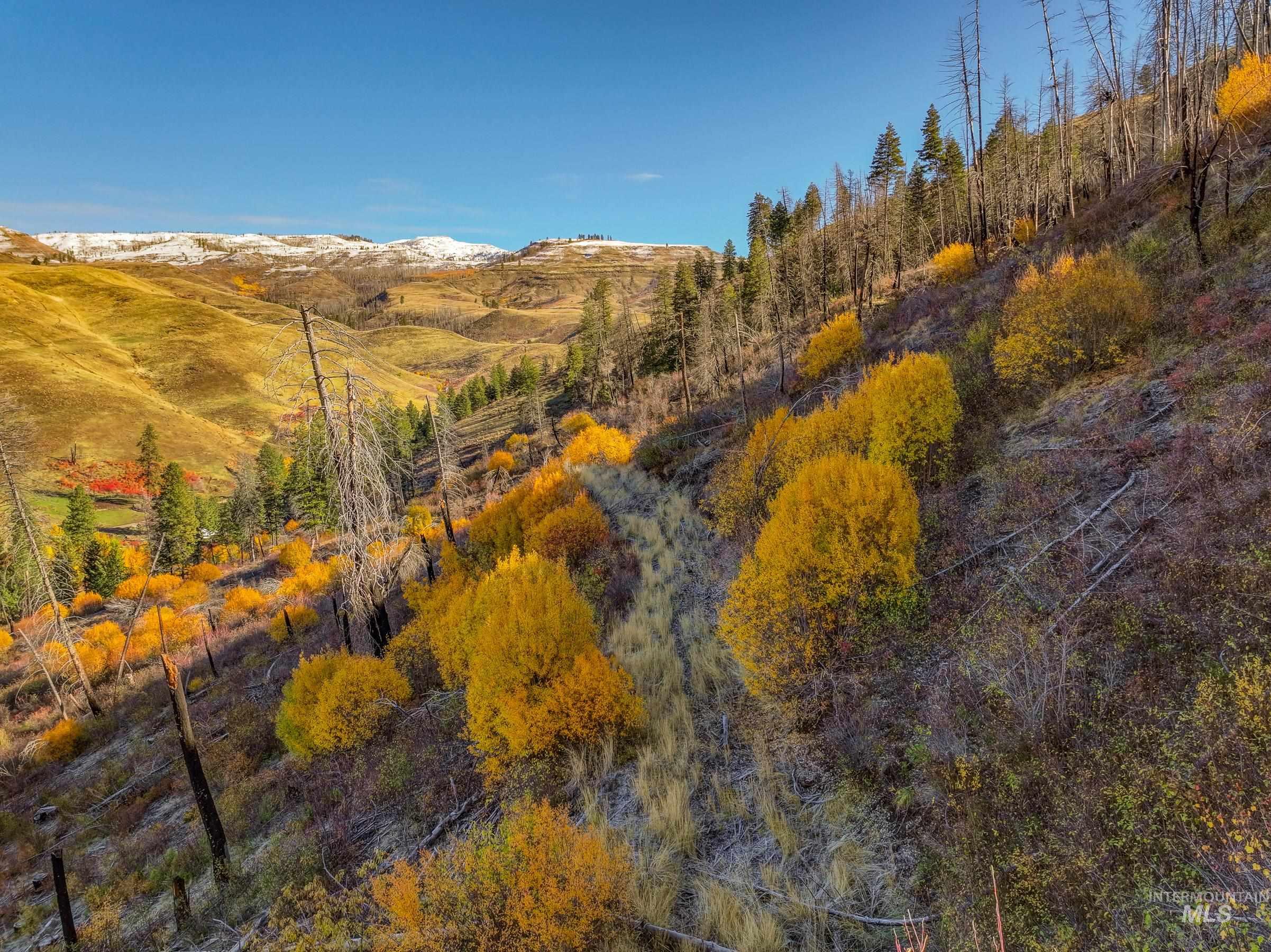 255 ac Fall Creek Rd, Council, Idaho 83612, Farm & Ranch For Sale, Price $625,000,MLS 98976619