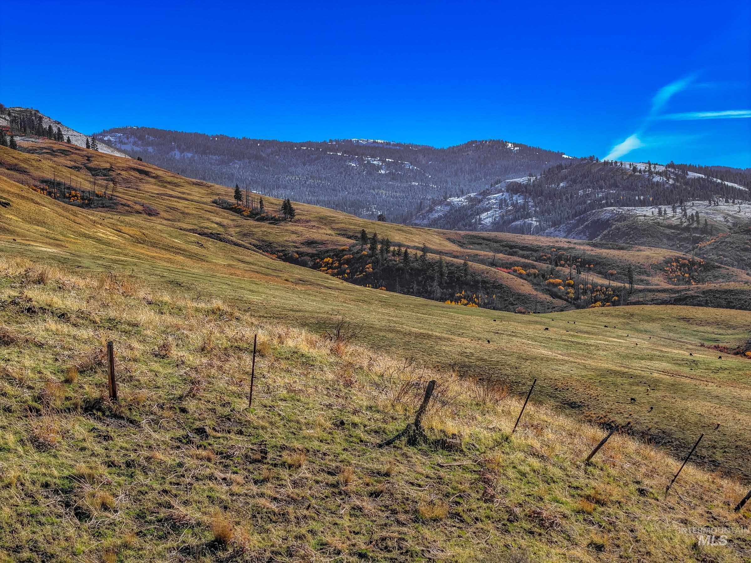 255 ac Fall Creek Rd, Council, Idaho 83612, Farm & Ranch For Sale, Price $625,000,MLS 98976619
