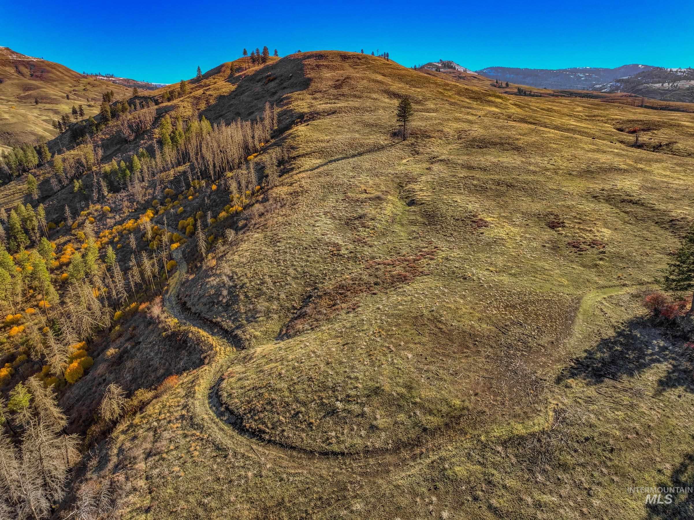 255 ac Fall Creek Rd, Council, Idaho 83612, Farm & Ranch For Sale, Price $625,000,MLS 98976619