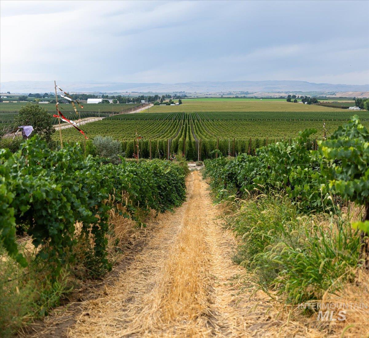 24013 Arena Valley Rd, Parma, Idaho 83660, 3 Bedrooms, 2 Bathrooms, Farm & Ranch For Sale, Price $1,900,000,MLS 98976622
