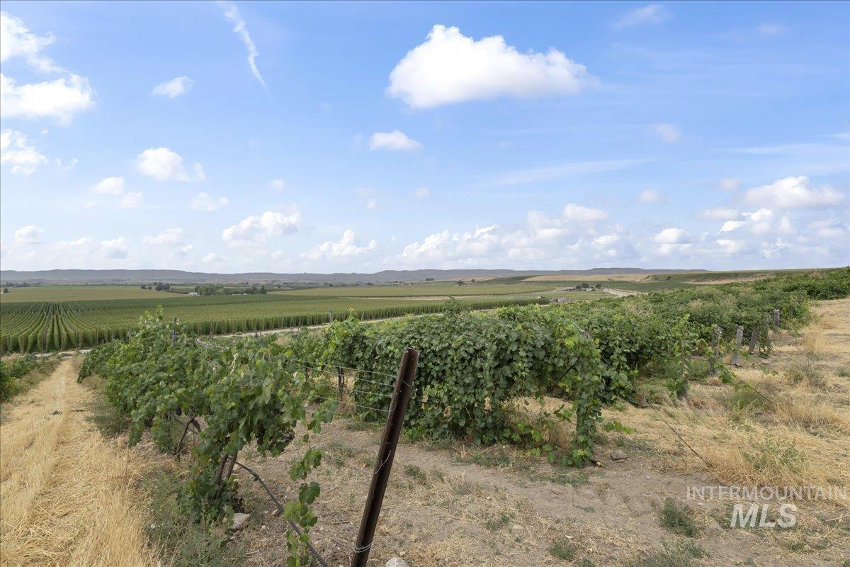 24013 Arena Valley Rd., Parma, Idaho 83660, 3 Bedrooms, 2 Bathrooms, Residential For Sale, Price $1,900,000, 98976623