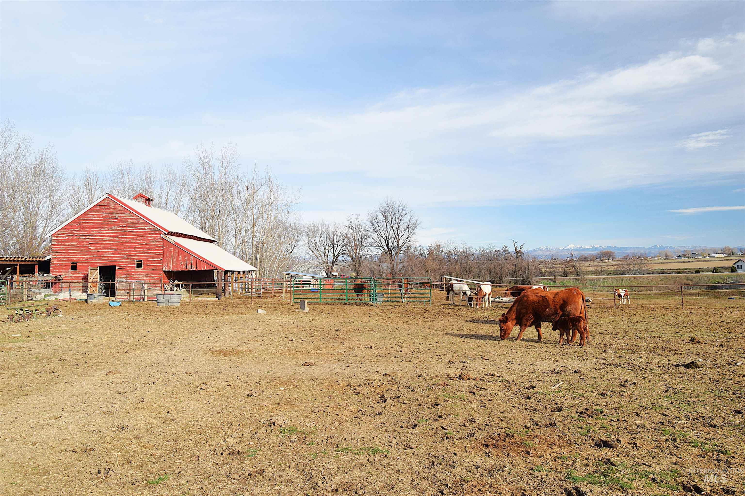 5367 Sand Hollow Road, New Plymouth, Idaho 83655, 4 Bedrooms, 2 Bathrooms, Residential For Sale, Price $875,000, 98976627