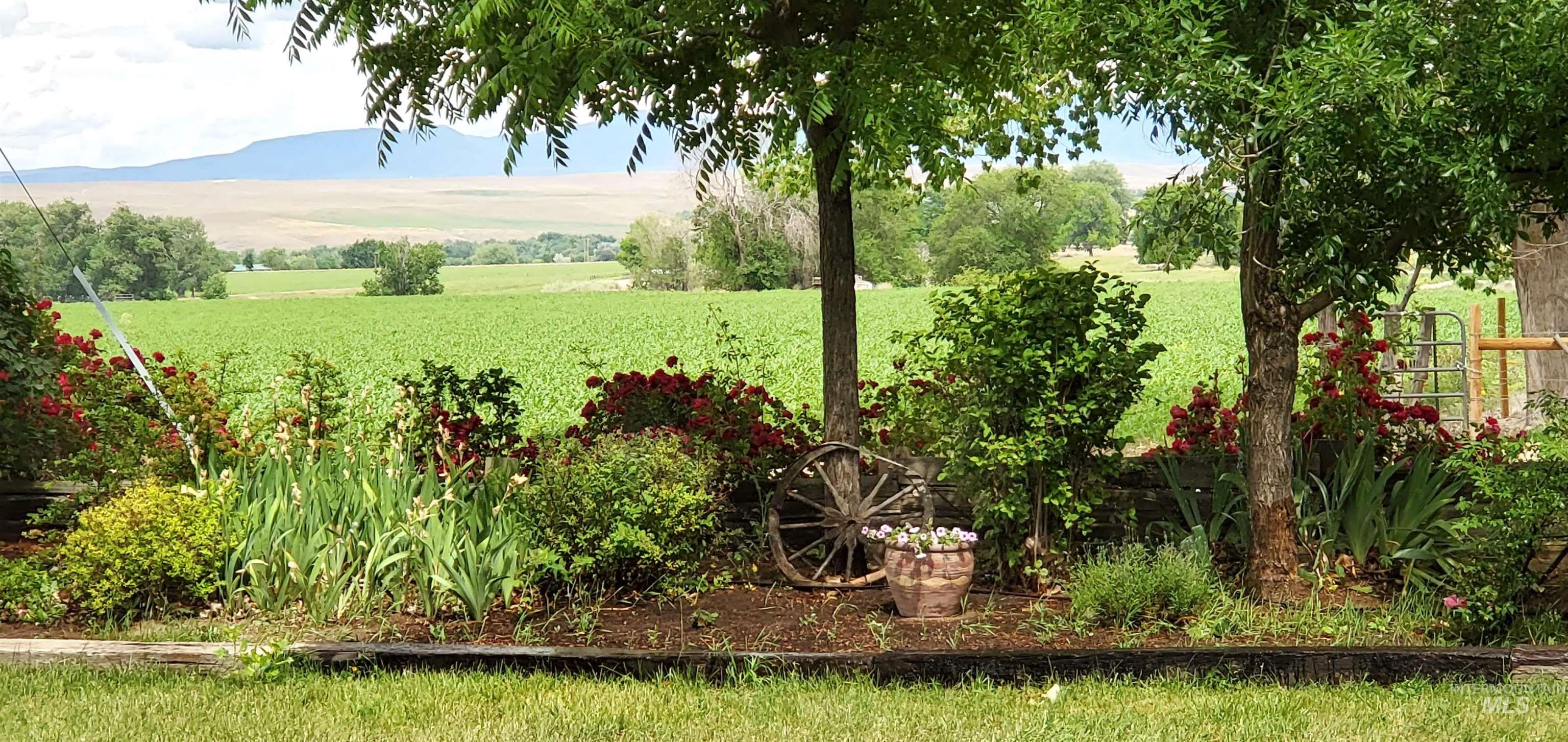 5367 Sand Hollow Road, New Plymouth, Idaho 83655, 4 Bedrooms, 2 Bathrooms, Residential For Sale, Price $875,000, 98976627