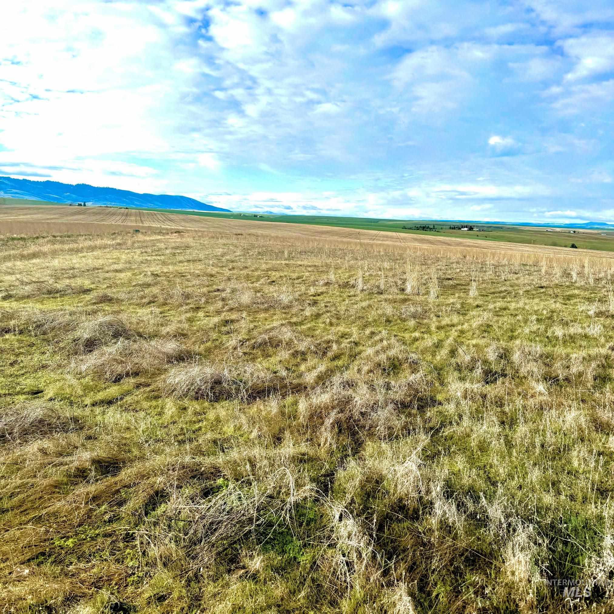 TBD Lot 17 A Pheasant Loop Rd, Lewiston, Idaho 83501-8040, Land For Sale, Price $289,900,MLS 98976642