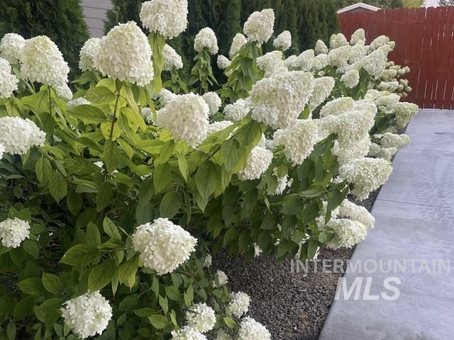 3816 Ringneck Dr, Nampa, Idaho 83686, 4 Bedrooms, 3 Bathrooms, Residential For Sale, Price $589,000,MLS 98976684