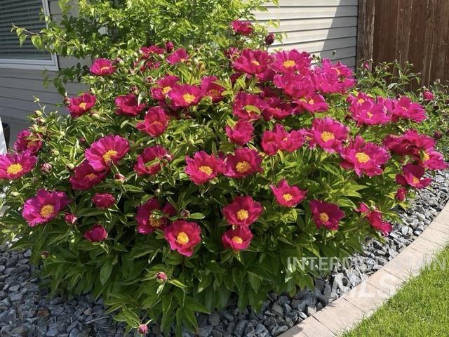 3816 Ringneck Dr, Nampa, Idaho 83686, 4 Bedrooms, 3 Bathrooms, Residential For Sale, Price $589,000,MLS 98976684