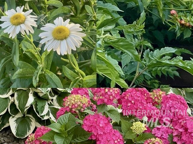 3816 Ringneck Dr, Nampa, Idaho 83686, 4 Bedrooms, 3 Bathrooms, Residential For Sale, Price $589,000,MLS 98976684