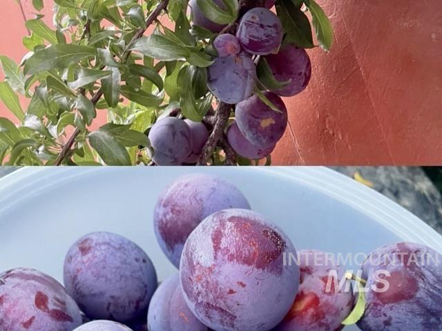 3816 Ringneck Dr, Nampa, Idaho 83686, 4 Bedrooms, 3 Bathrooms, Residential For Sale, Price $589,000,MLS 98976684