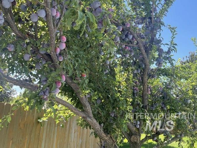 3816 Ringneck Dr, Nampa, Idaho 83686, 4 Bedrooms, 3 Bathrooms, Residential For Sale, Price $569,000,MLS 98976684