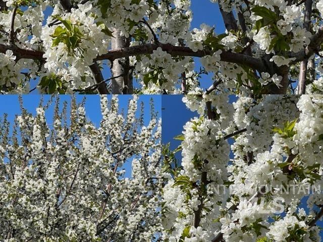 3816 Ringneck Dr, Nampa, Idaho 83686, 4 Bedrooms, 3 Bathrooms, Residential For Sale, Price $589,000,MLS 98976684