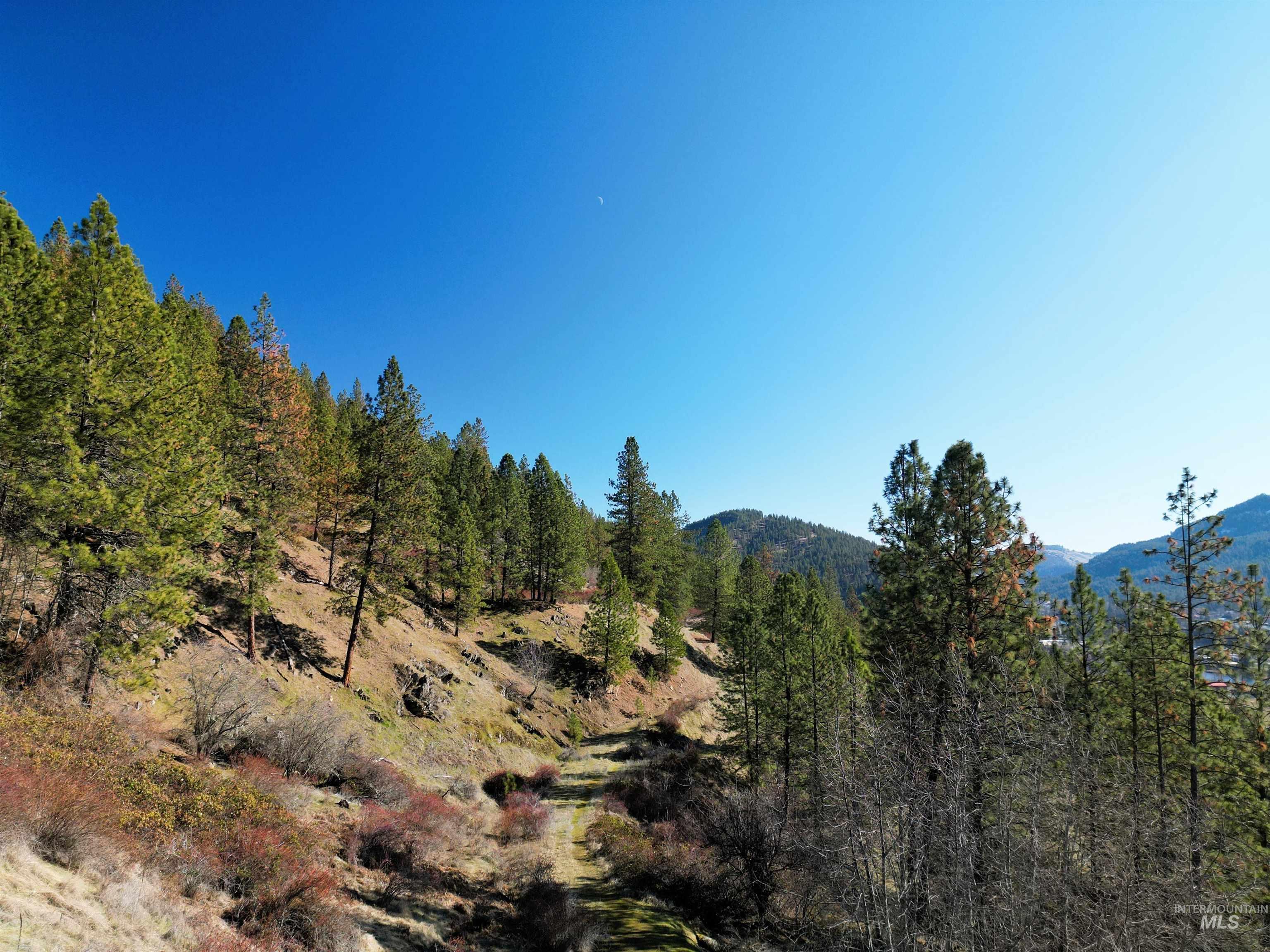 618 Quail Dr, Ahsahka, Idaho 83520, Land For Sale, Price $249,000,MLS 98976691