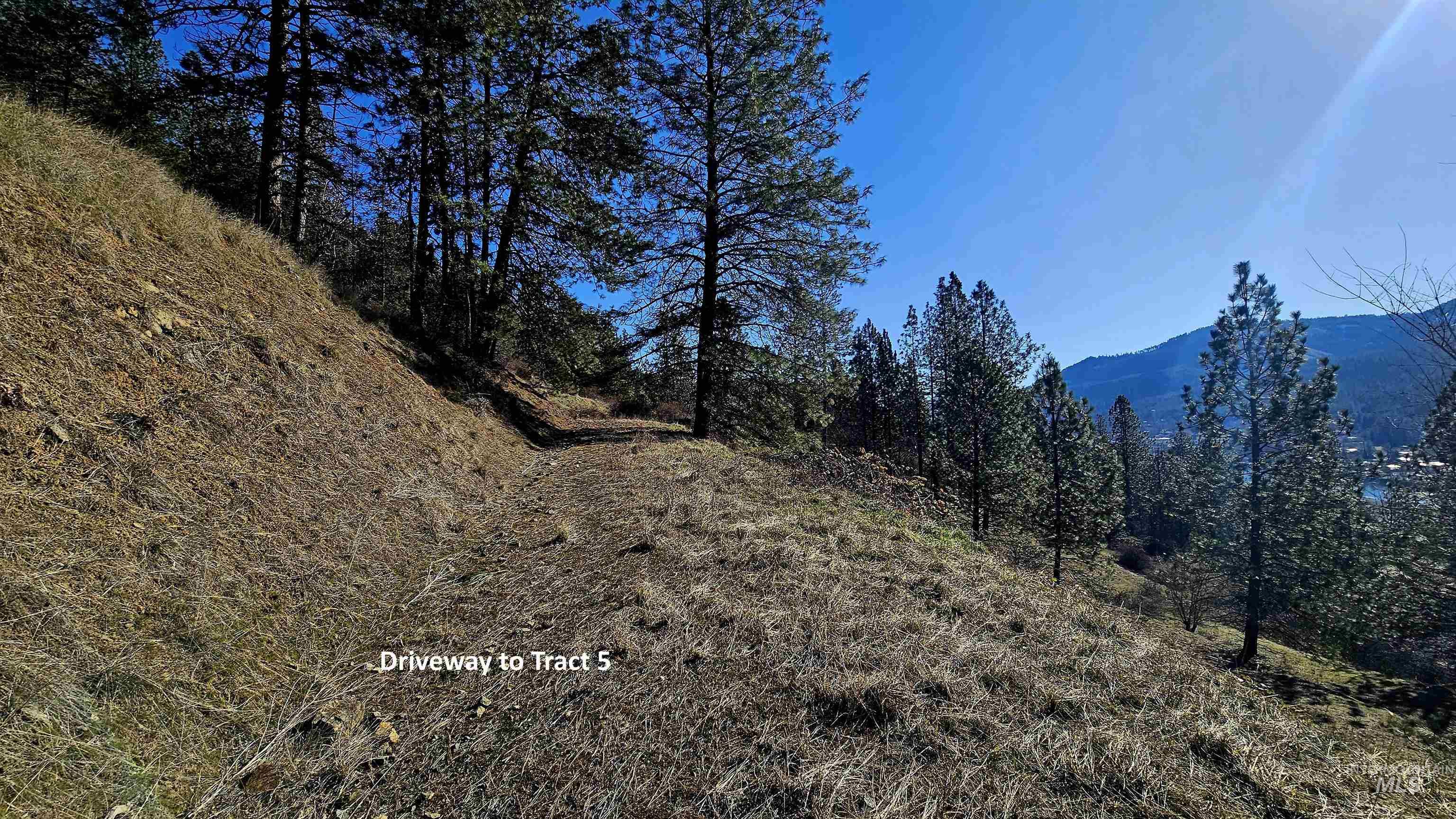 618 Quail Dr, Ahsahka, Idaho 83520, Land For Sale, Price $249,000,MLS 98976691