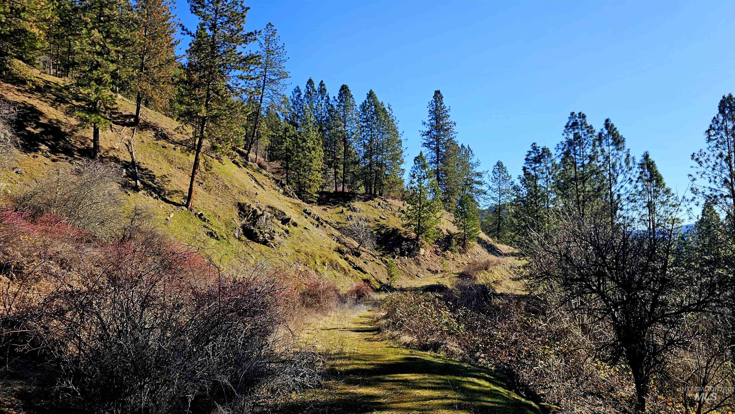 618 Quail Dr, Ahsahka, Idaho 83520, Land For Sale, Price $249,000,MLS 98976691