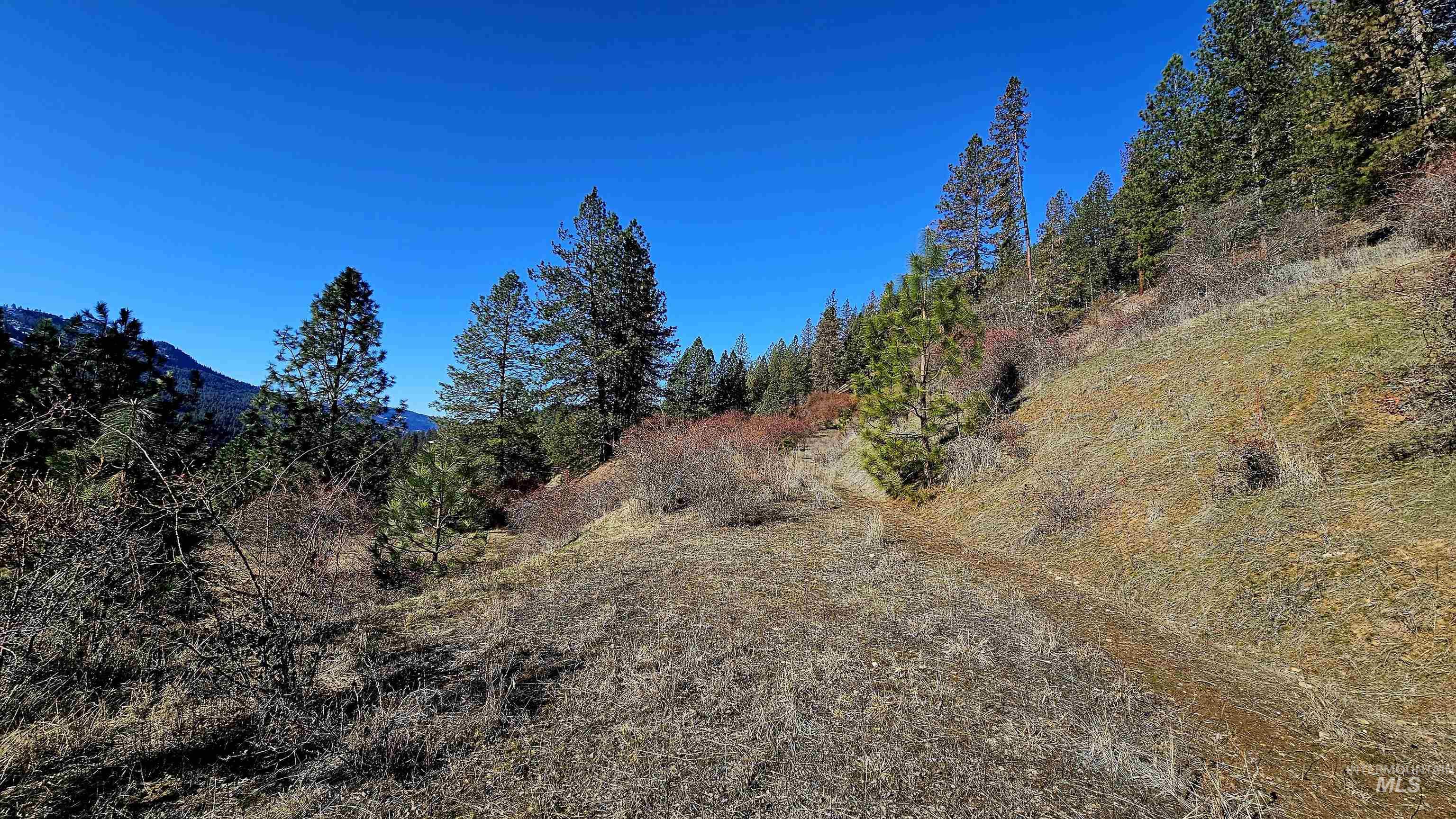 618 Quail Dr, Ahsahka, Idaho 83520, Land For Sale, Price $249,000,MLS 98976691