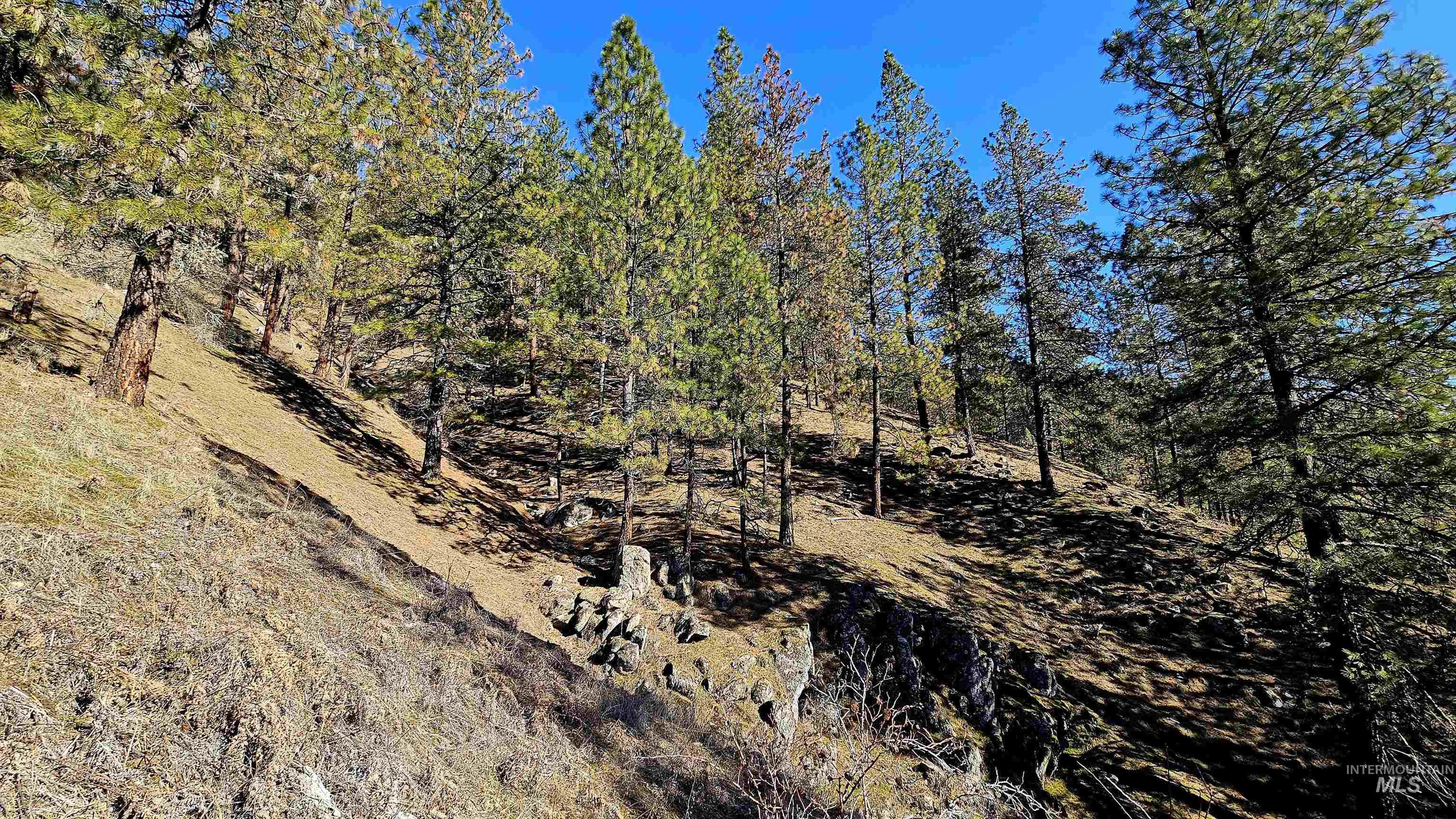 618 Quail Dr, Ahsahka, Idaho 83520, Land For Sale, Price $249,000,MLS 98976691