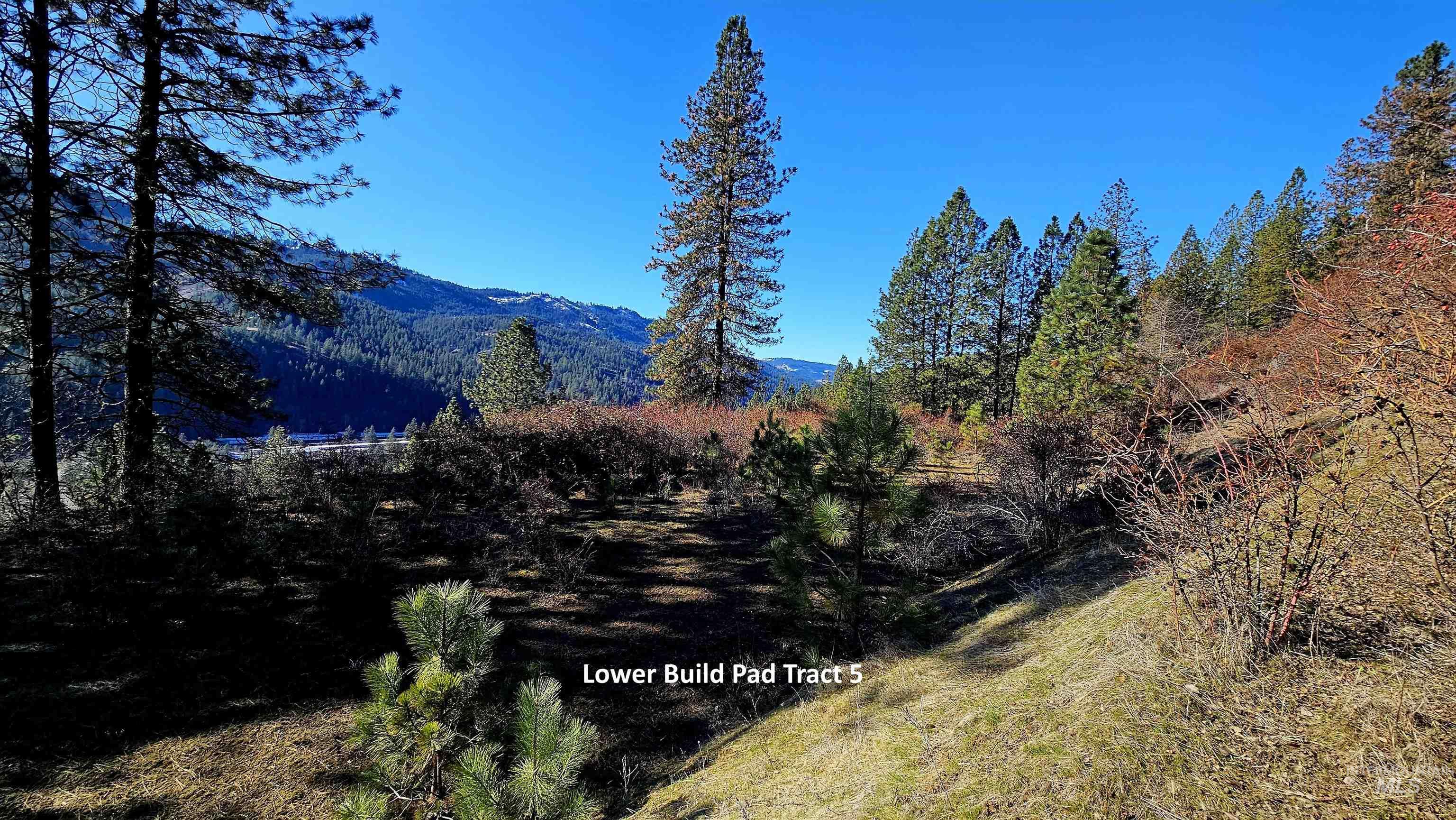 618 Quail Dr, Ahsahka, Idaho 83520, Land For Sale, Price $249,000,MLS 98976691