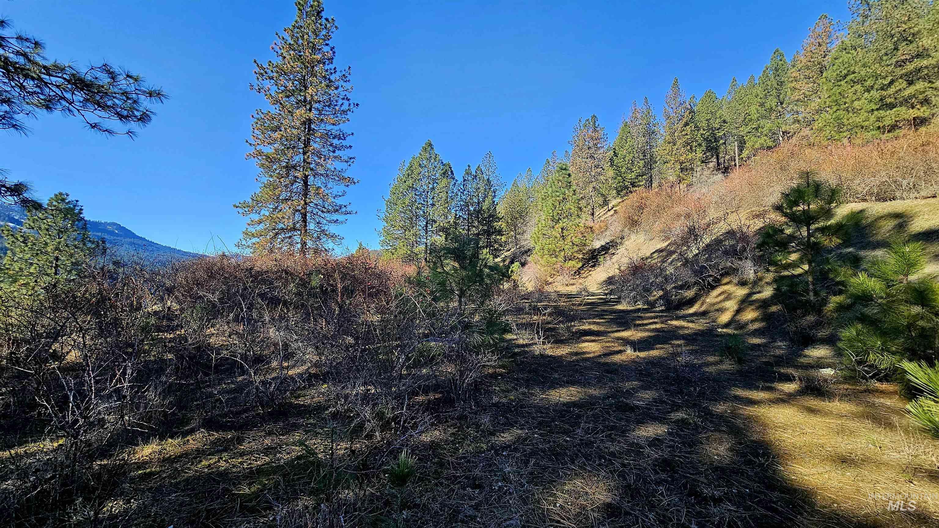 618 Quail Dr, Ahsahka, Idaho 83520, Land For Sale, Price $249,000,MLS 98976691