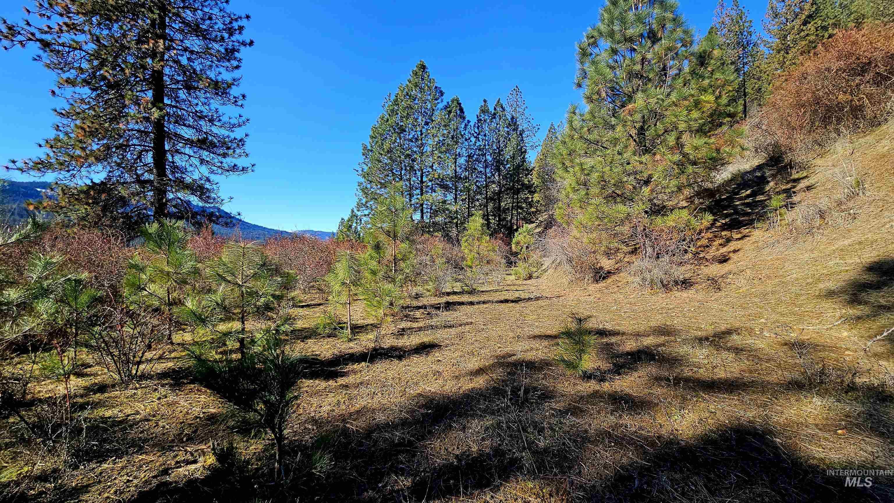 618 Quail Dr, Ahsahka, Idaho 83520, Land For Sale, Price $249,000,MLS 98976691