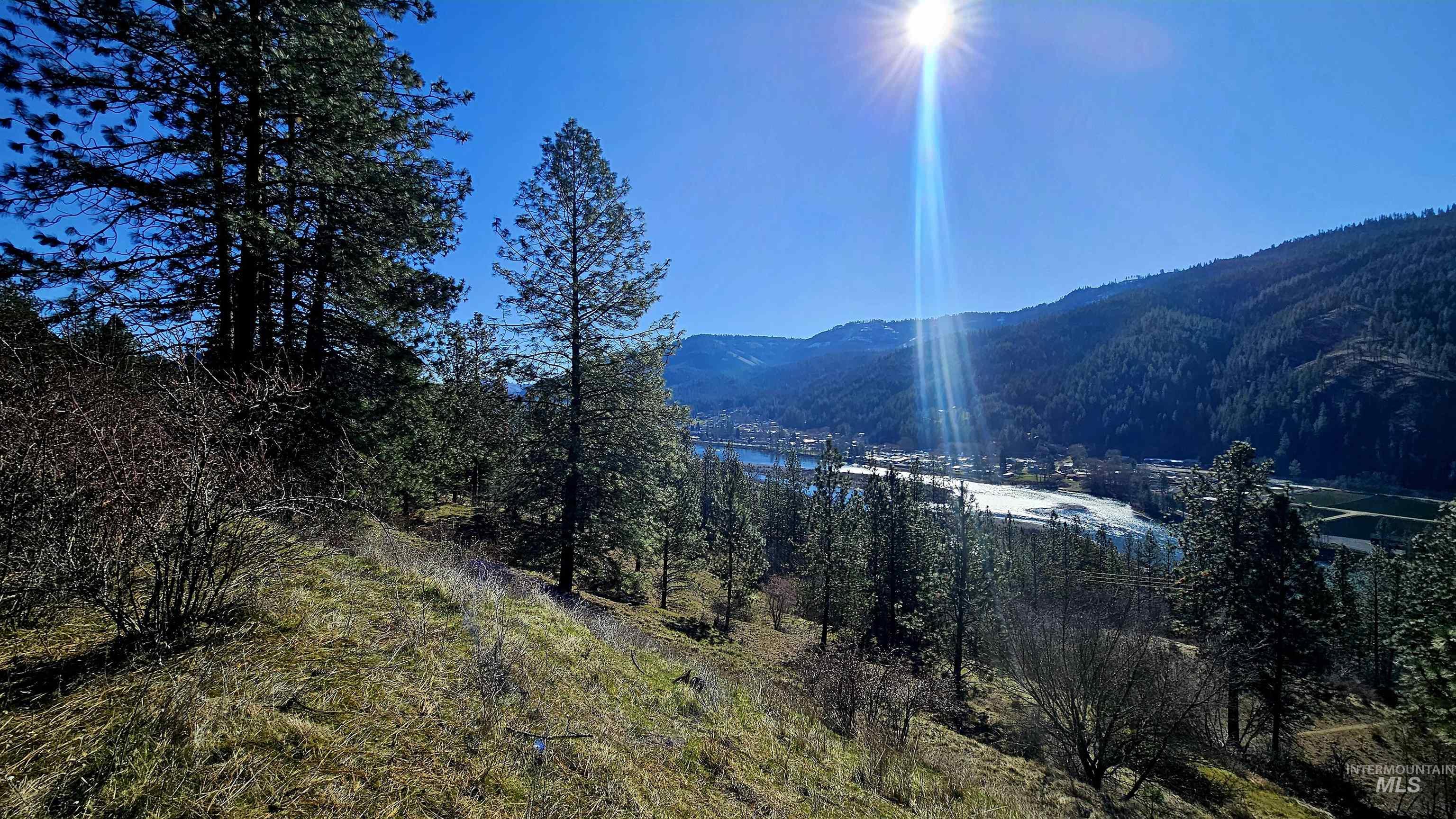 618 Quail Dr, Ahsahka, Idaho 83520, Land For Sale, Price $249,000,MLS 98976691