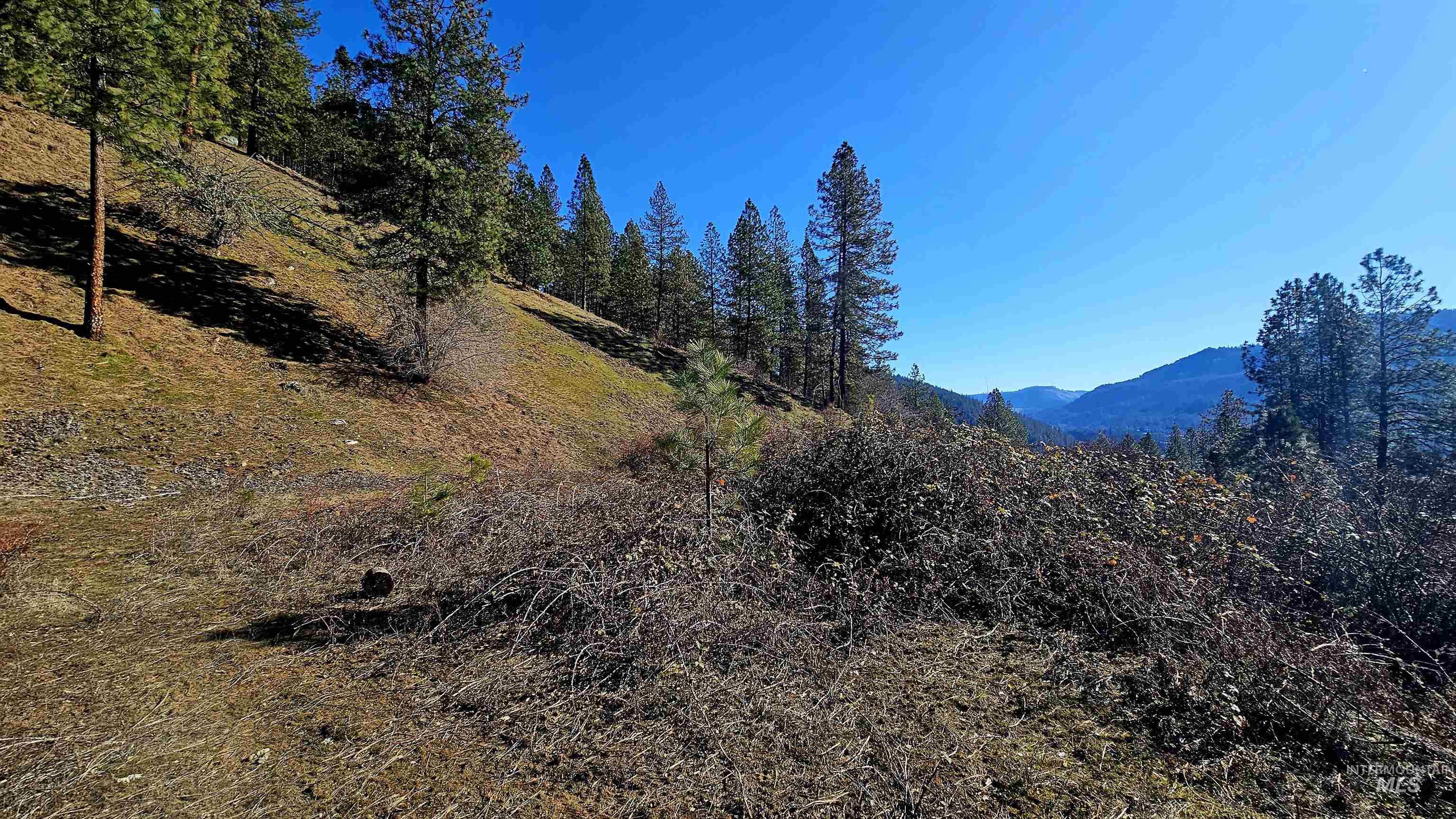 618 Quail Dr, Ahsahka, Idaho 83520, Land For Sale, Price $249,000,MLS 98976691