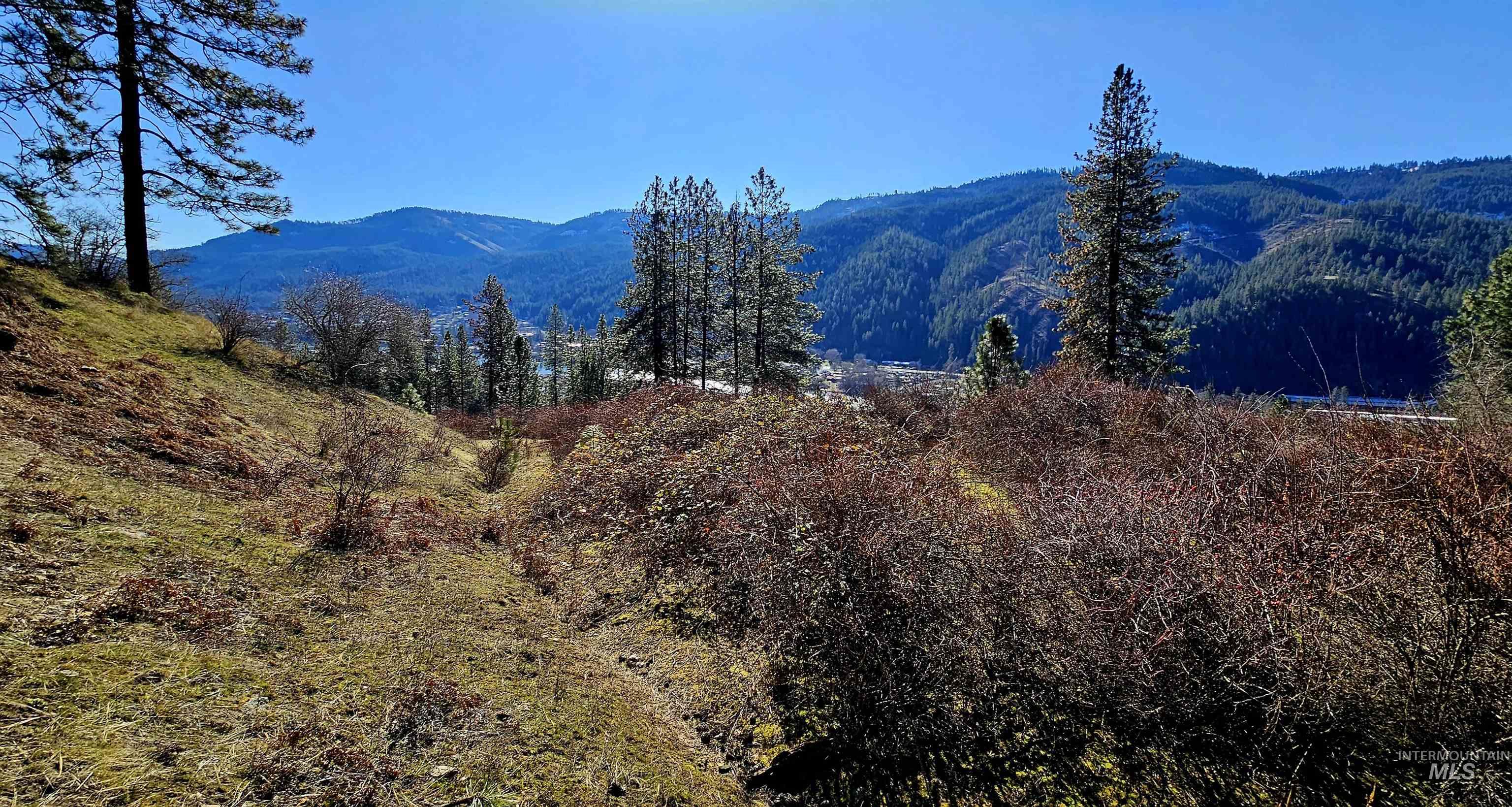 618 Quail Dr, Ahsahka, Idaho 83520, Land For Sale, Price $249,000,MLS 98976691
