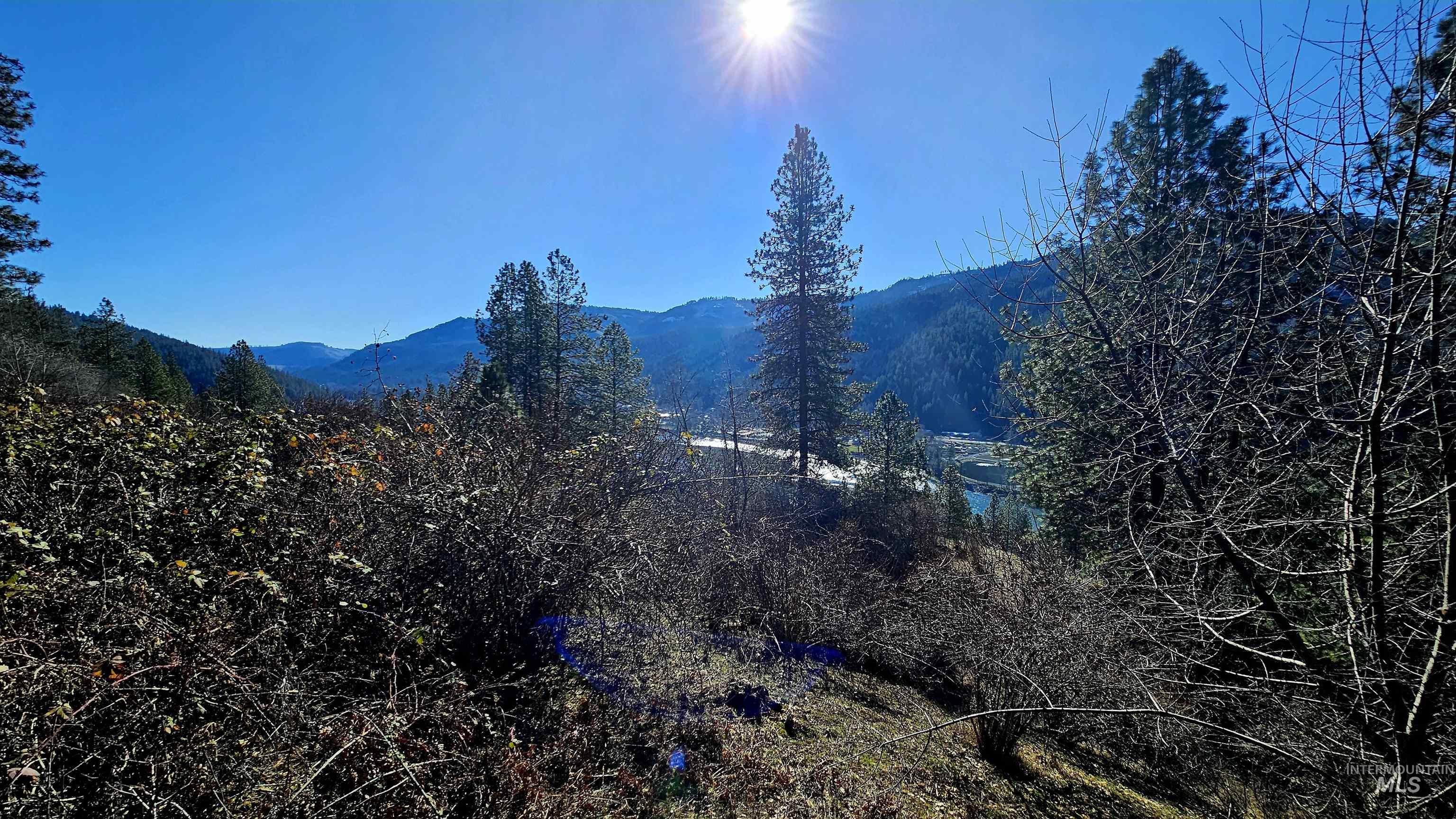 618 Quail Dr, Ahsahka, Idaho 83520, Land For Sale, Price $249,000,MLS 98976691