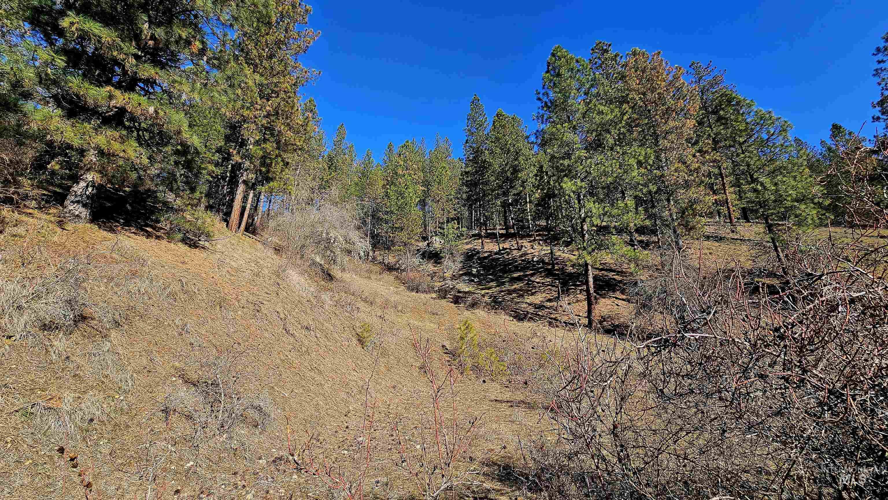 618 Quail Dr, Ahsahka, Idaho 83520, Land For Sale, Price $249,000,MLS 98976691