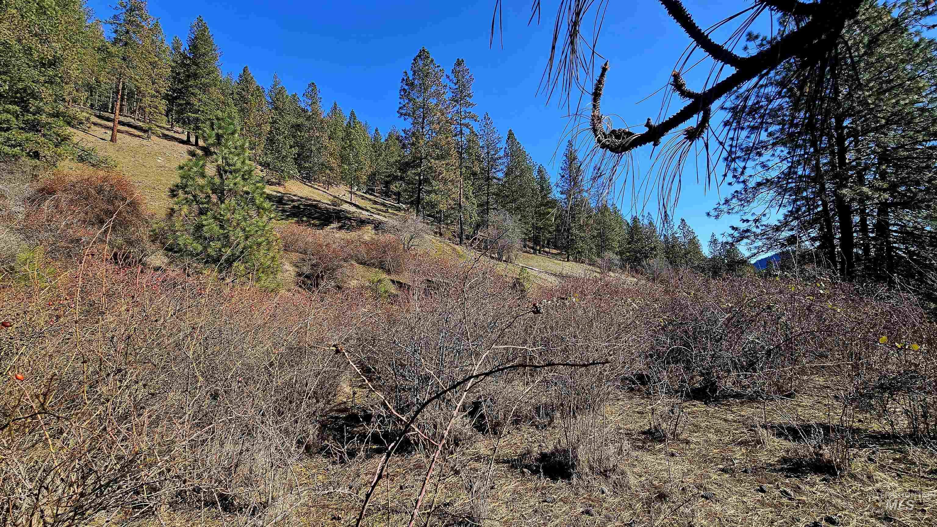 618 Quail Dr, Ahsahka, Idaho 83520, Land For Sale, Price $249,000,MLS 98976691