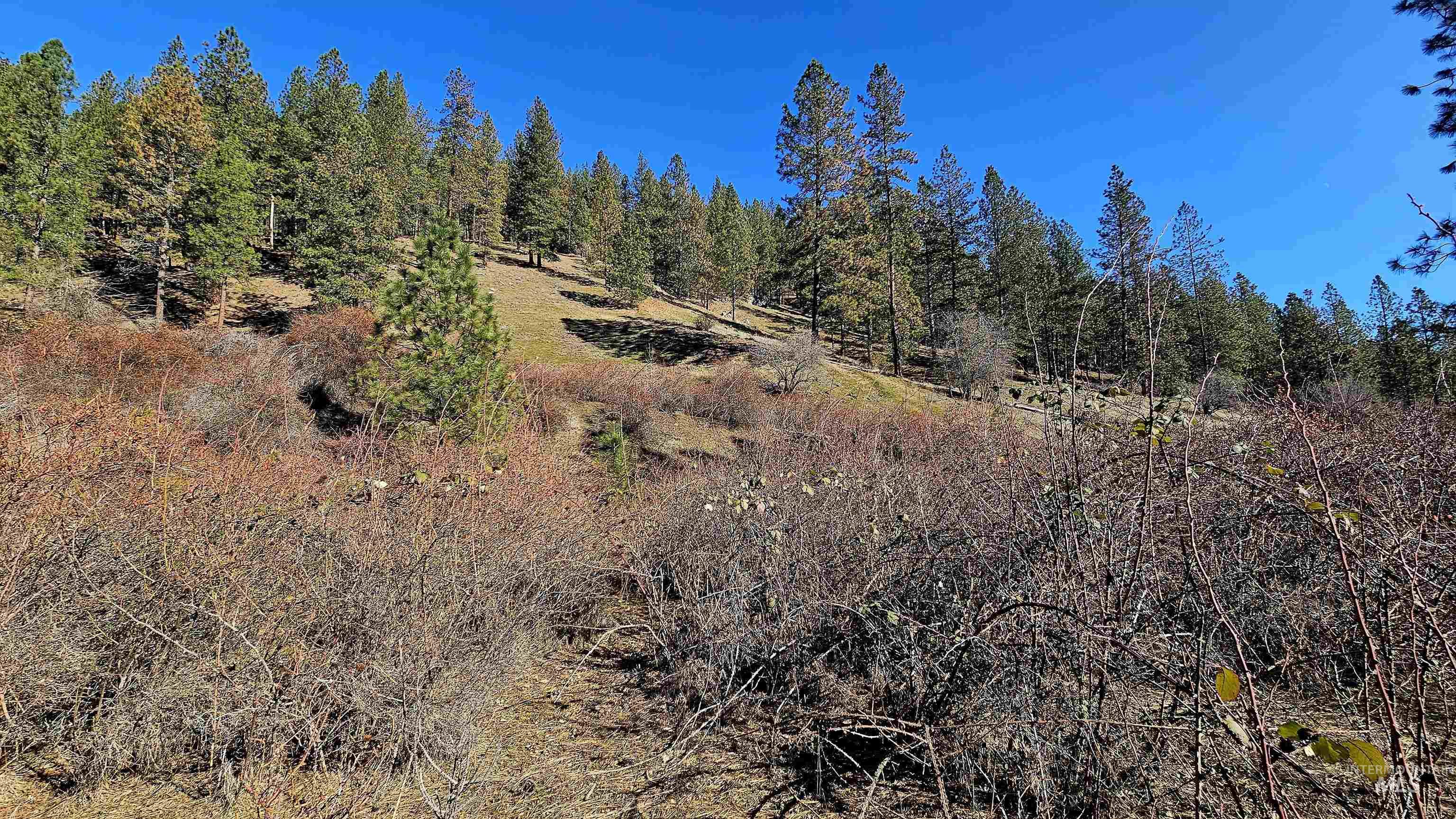 618 Quail Dr, Ahsahka, Idaho 83520, Land For Sale, Price $249,000,MLS 98976691