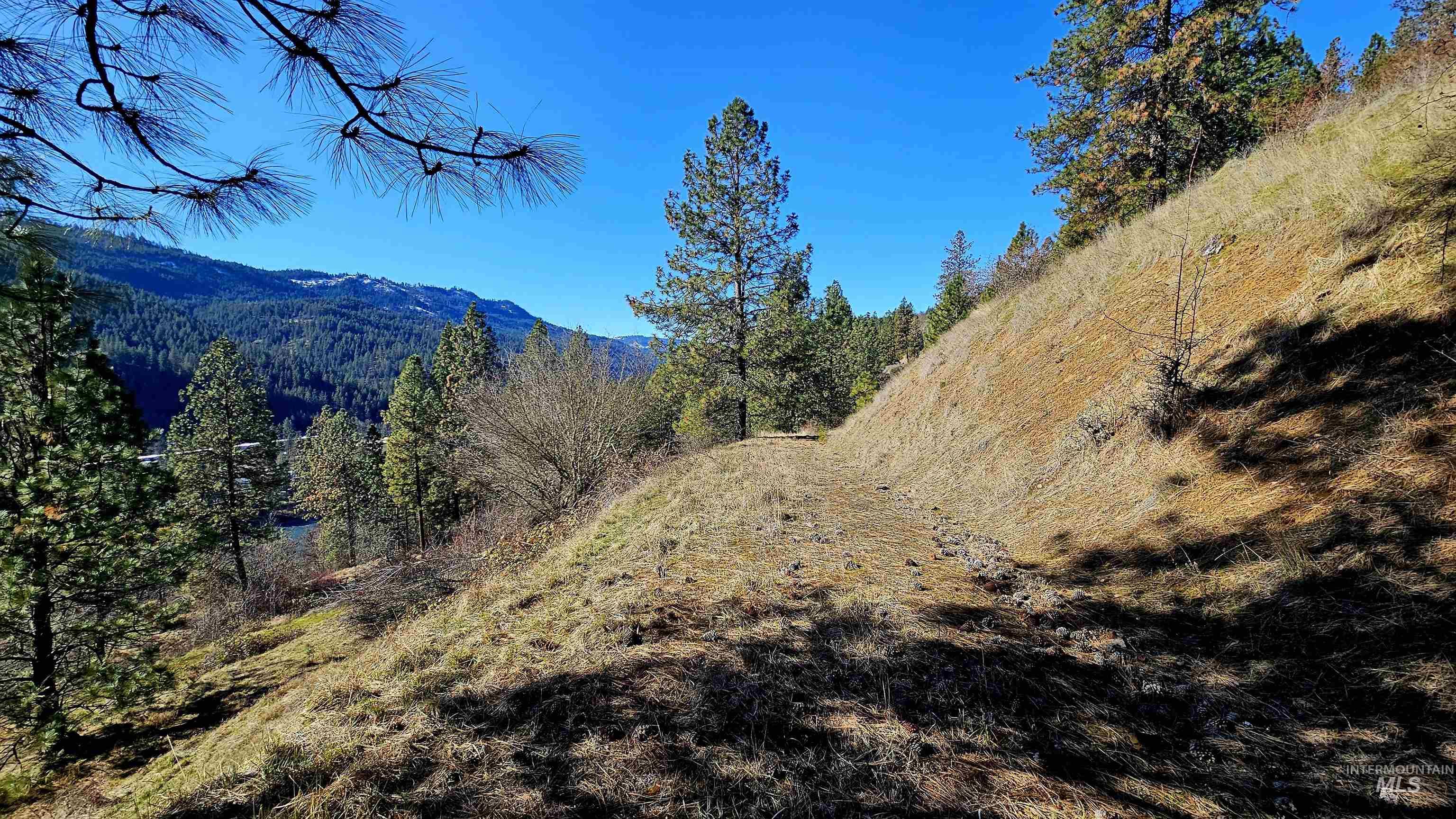 618 Quail Dr, Ahsahka, Idaho 83520, Land For Sale, Price $249,000,MLS 98976691