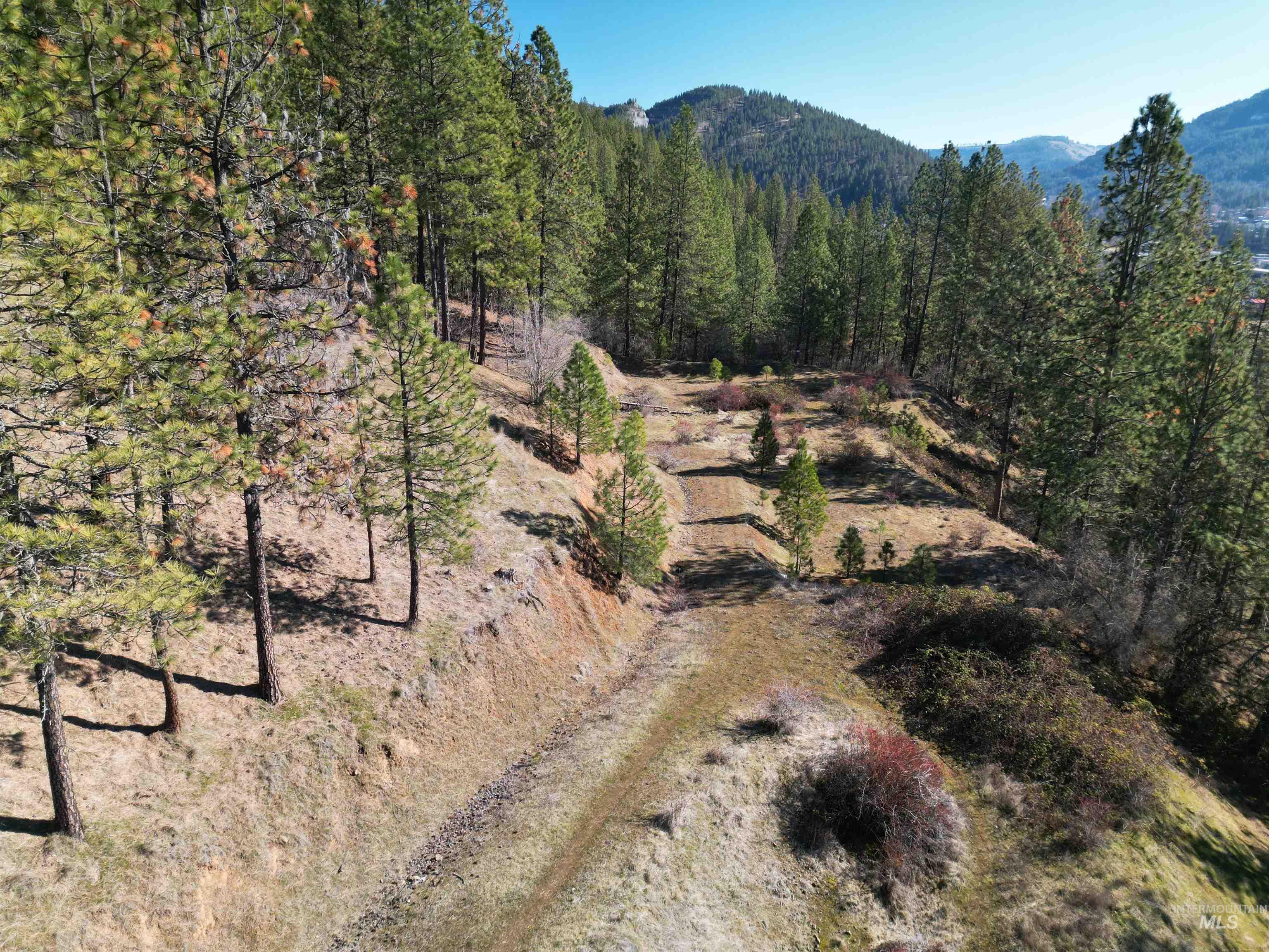 618 Quail Dr, Ahsahka, Idaho 83520, Land For Sale, Price $249,000,MLS 98976691