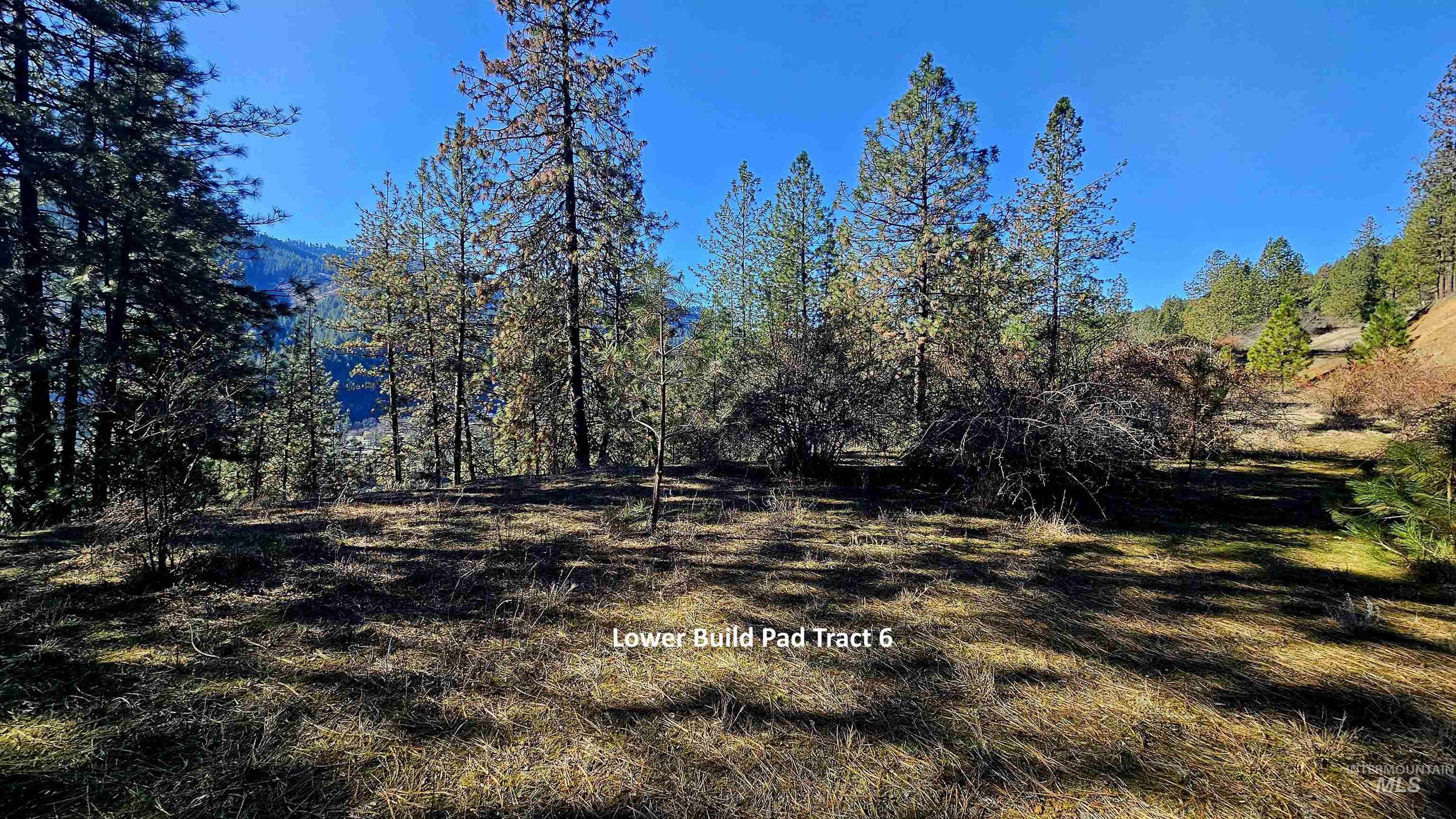 618 Quail Dr, Ahsahka, Idaho 83520, Land For Sale, Price $249,000,MLS 98976691