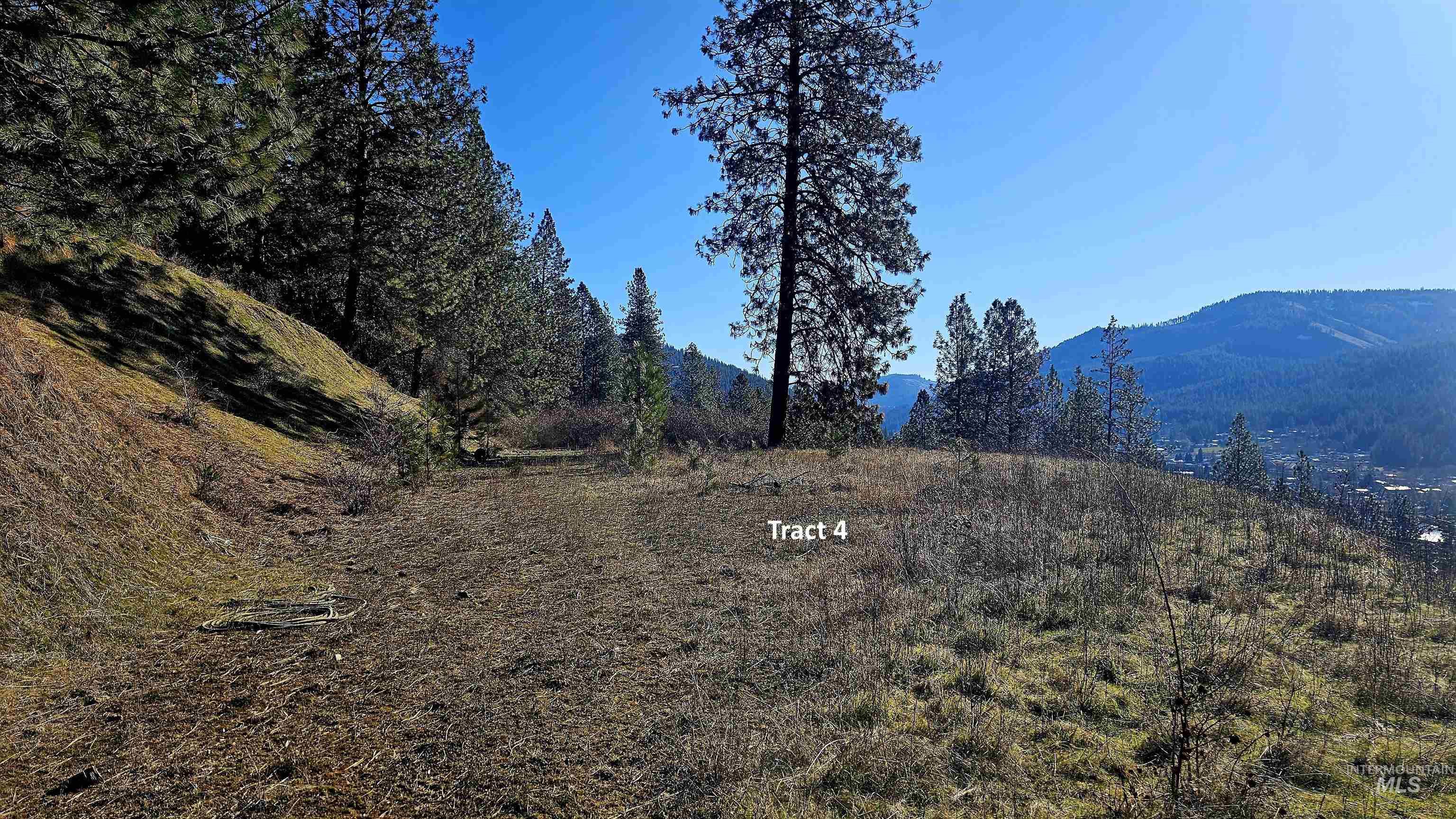618 Quail Dr, Ahsahka, Idaho 83520, Land For Sale, Price $249,000,MLS 98976691