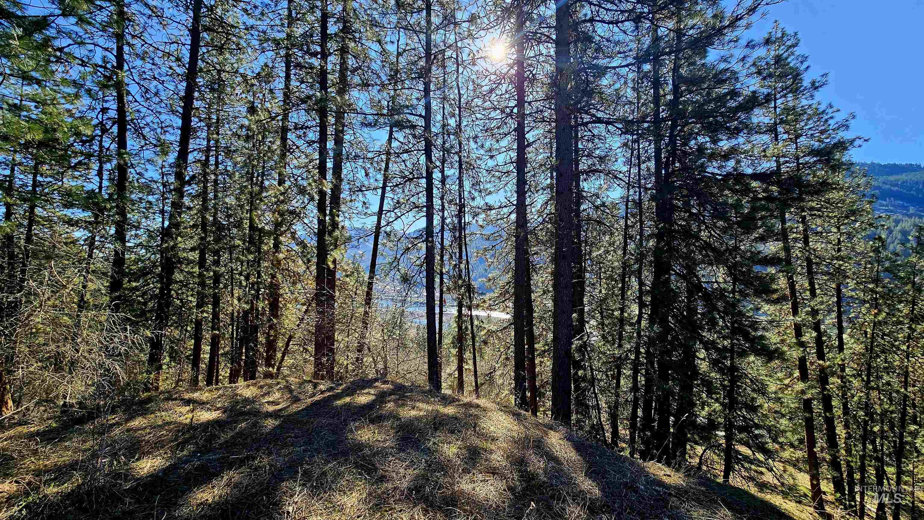 618 Quail Dr, Ahsahka, Idaho 83520, Land For Sale, Price $249,000,MLS 98976691