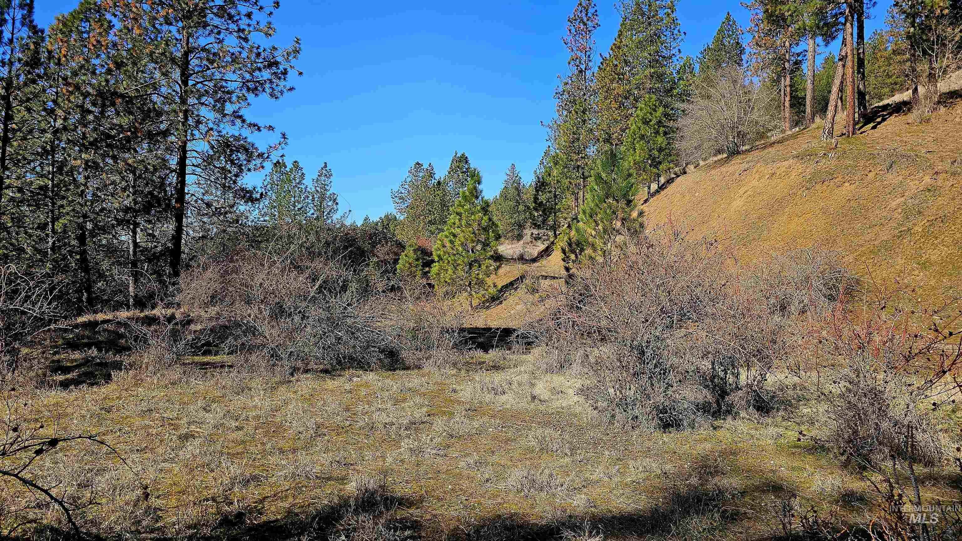 618 Quail Dr, Ahsahka, Idaho 83520, Land For Sale, Price $249,000,MLS 98976691