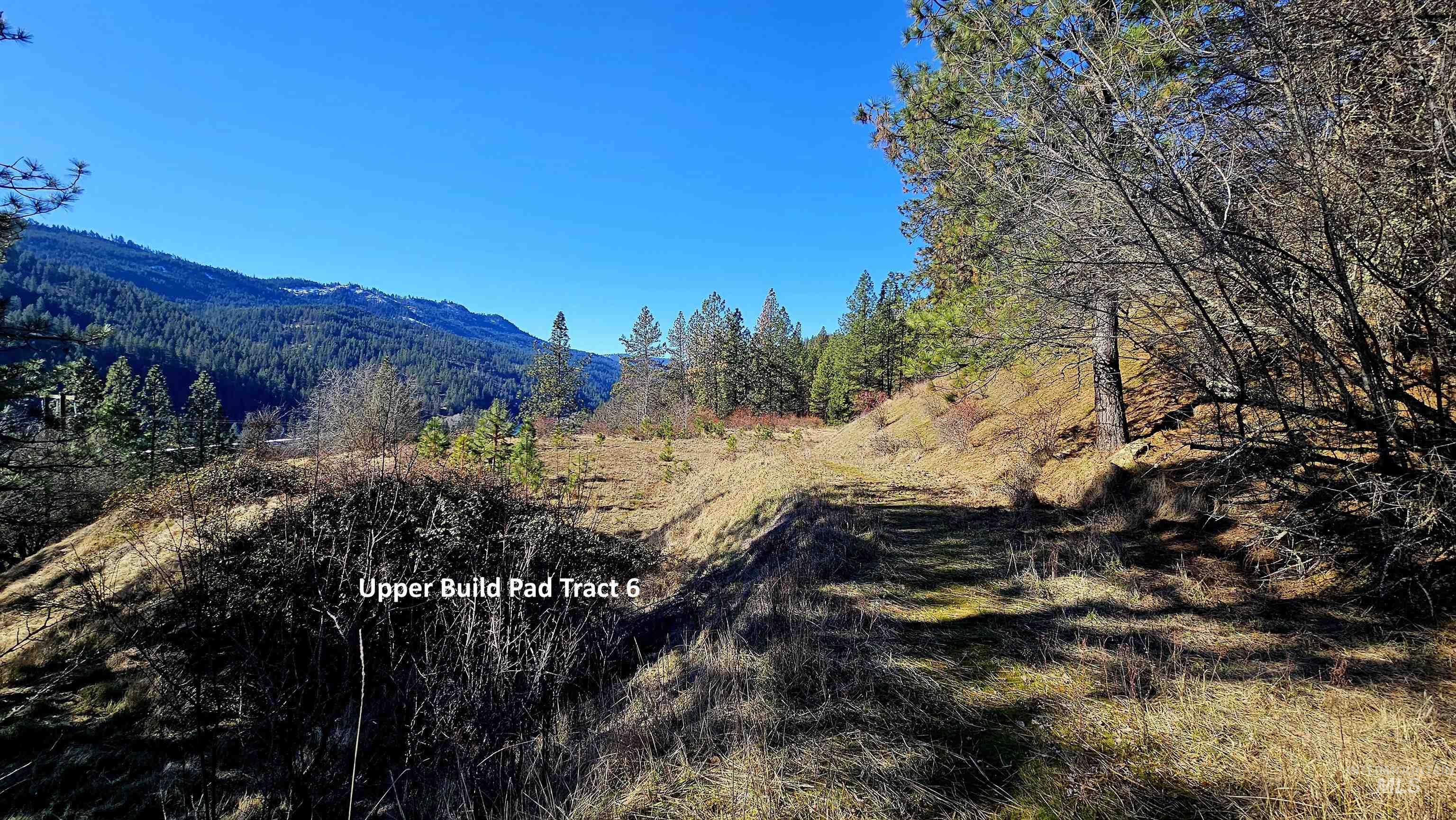 618 Quail Dr, Ahsahka, Idaho 83520, Land For Sale, Price $249,000,MLS 98976691